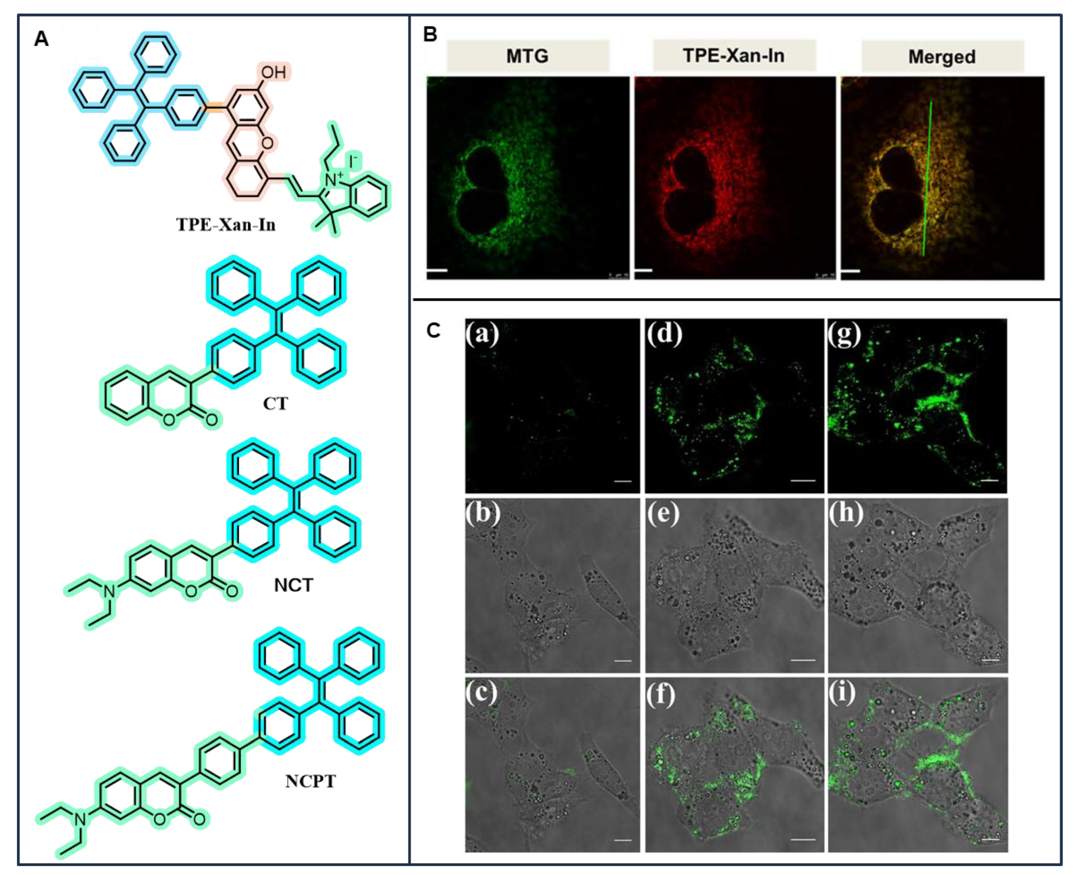 Photochem 05 00023 g015