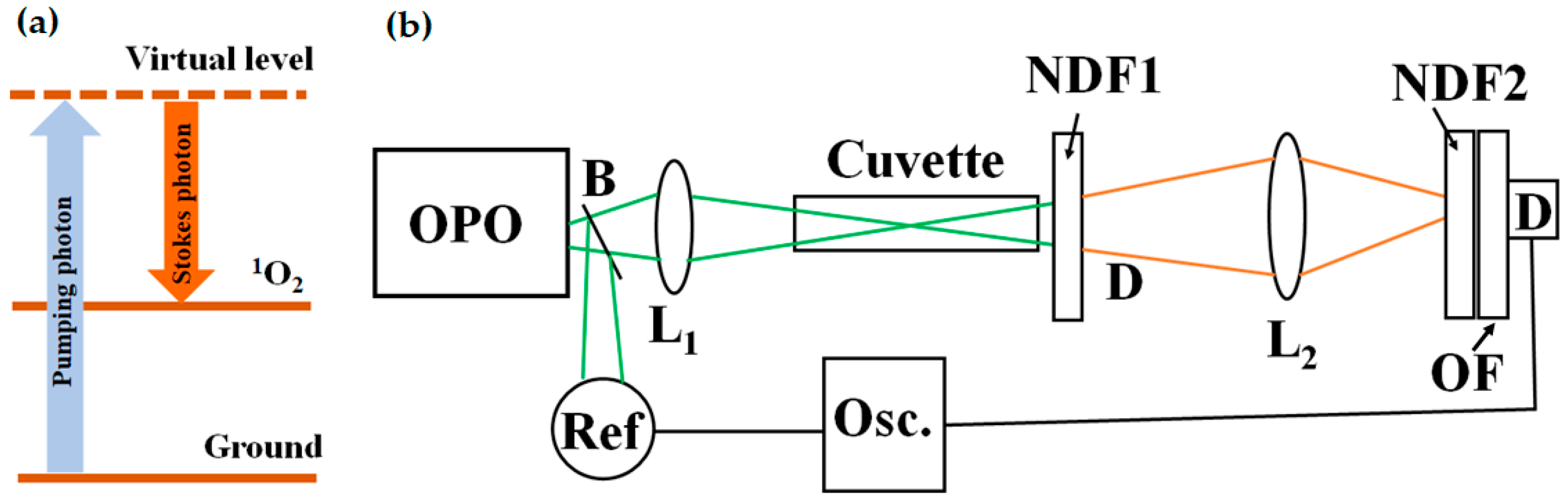 Photochem 05 00024 g001 Photochem 05 00024 g001