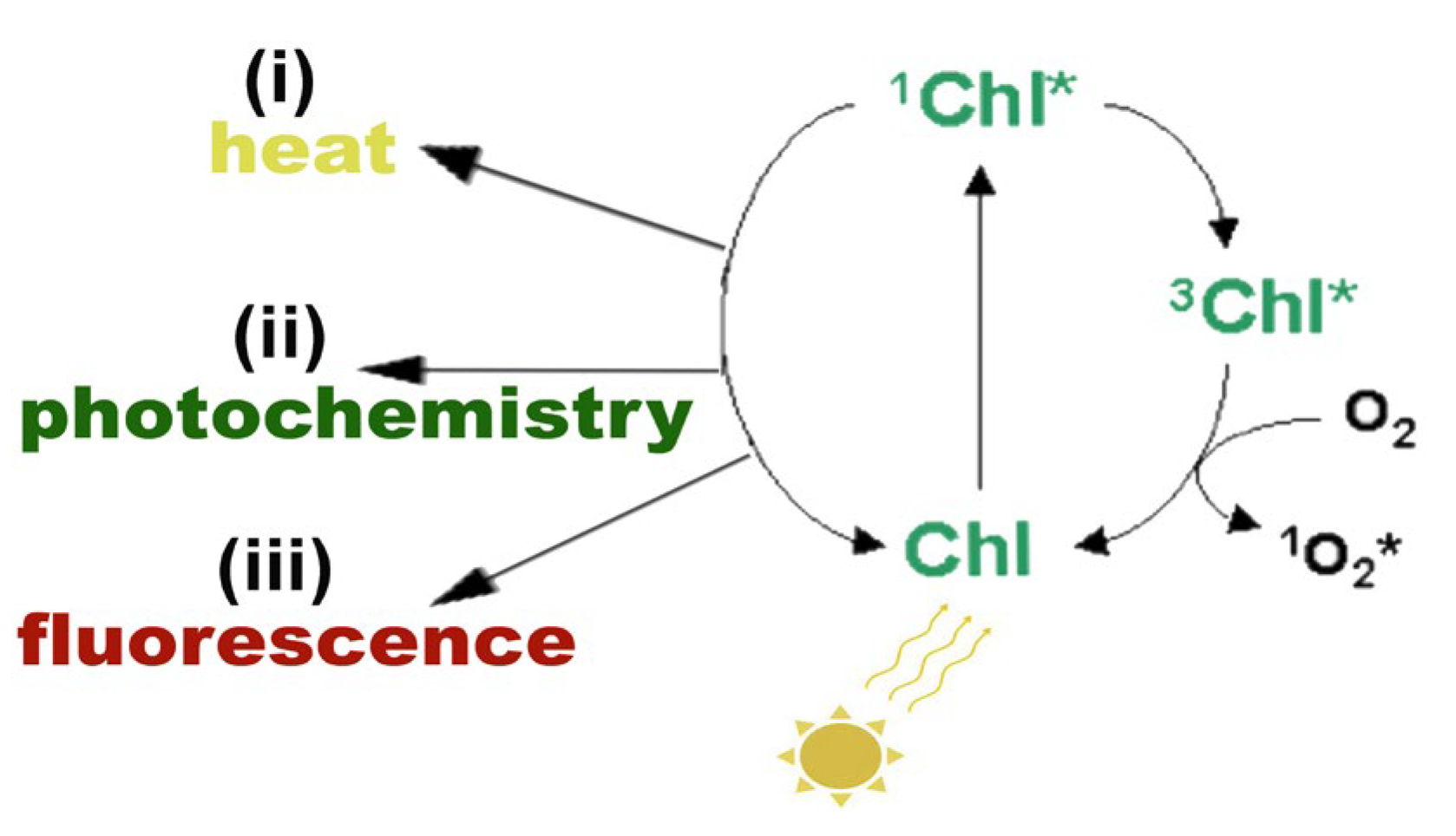 Photochem 05 00028 g002 Photochem 05 00028 g002