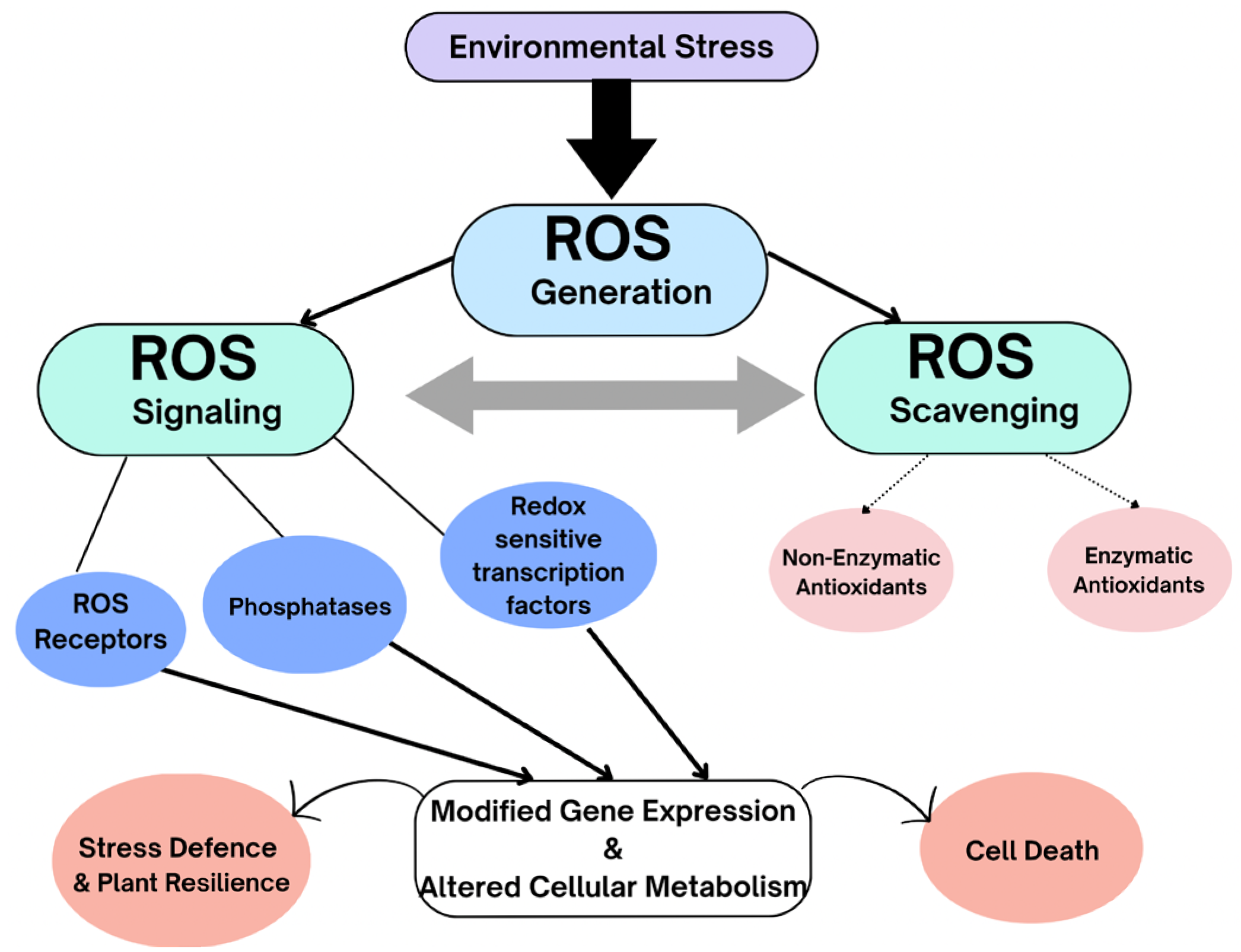 Photochem 05 00028 g007 Photochem 05 00028 g007