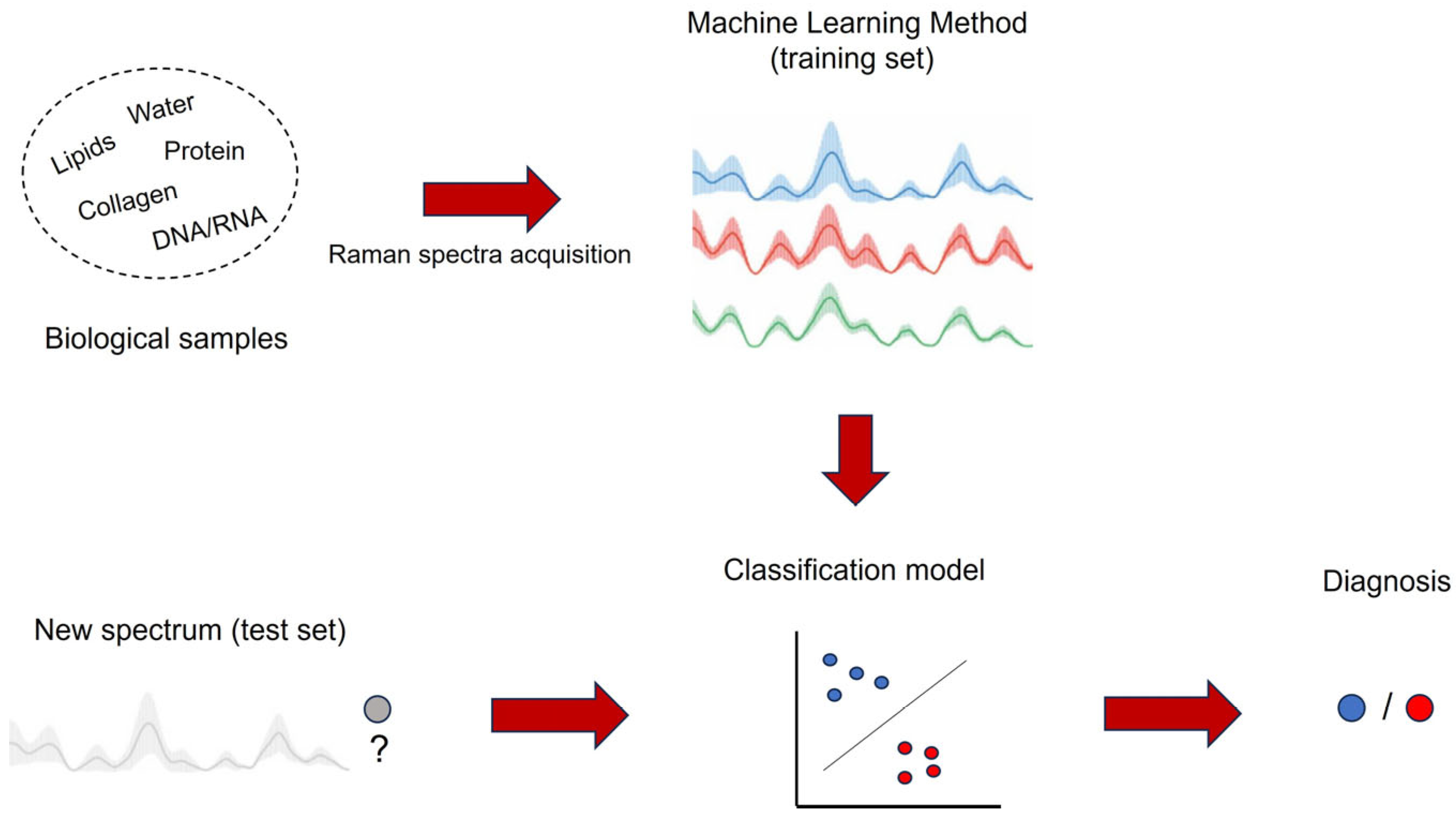 Photochem 05 00029 g001 Photochem 05 00029 g001