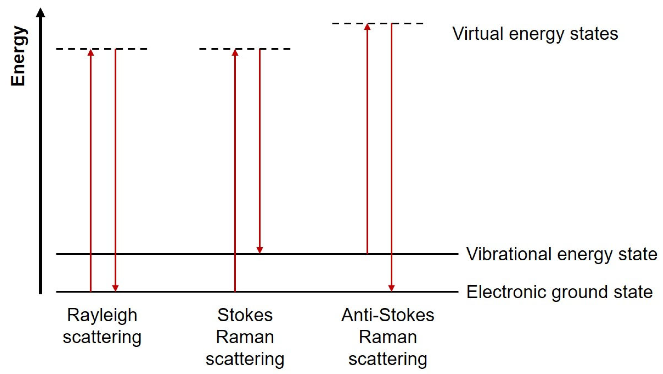Photochem 05 00029 g003 Photochem 05 00029 g003