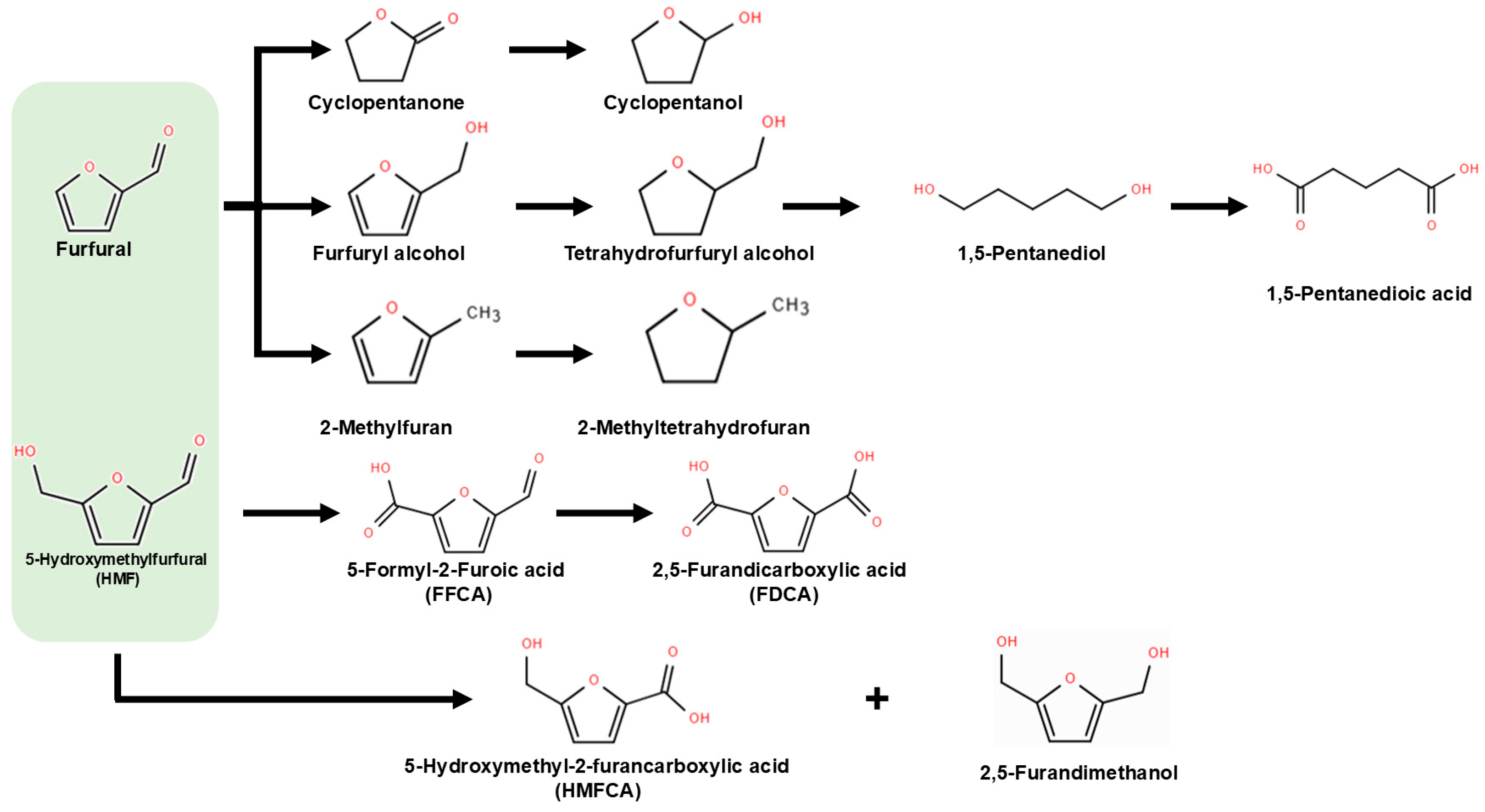 Photochem 05 00035 g001 Photochem 05 00035 g001