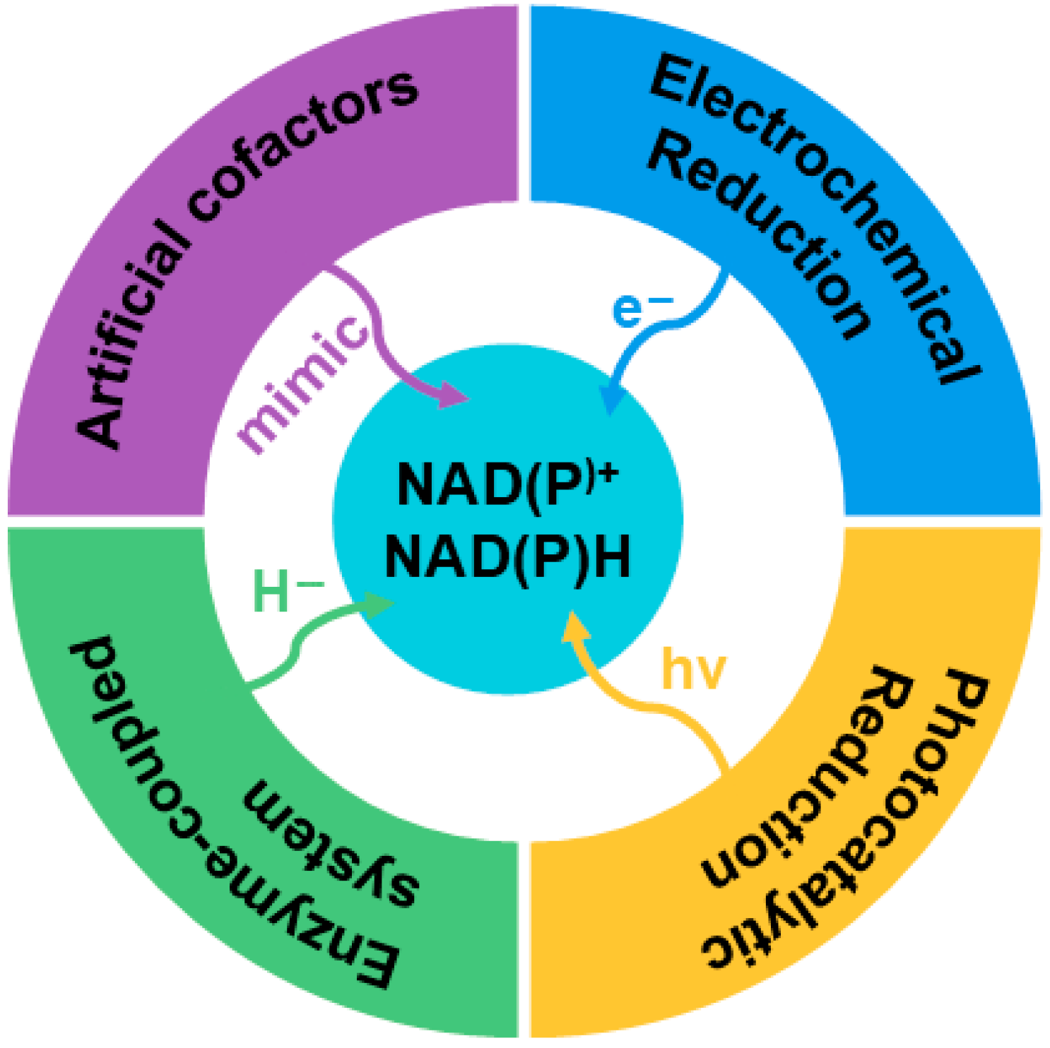 Photochem 05 00035 g002 Photochem 05 00035 g002
