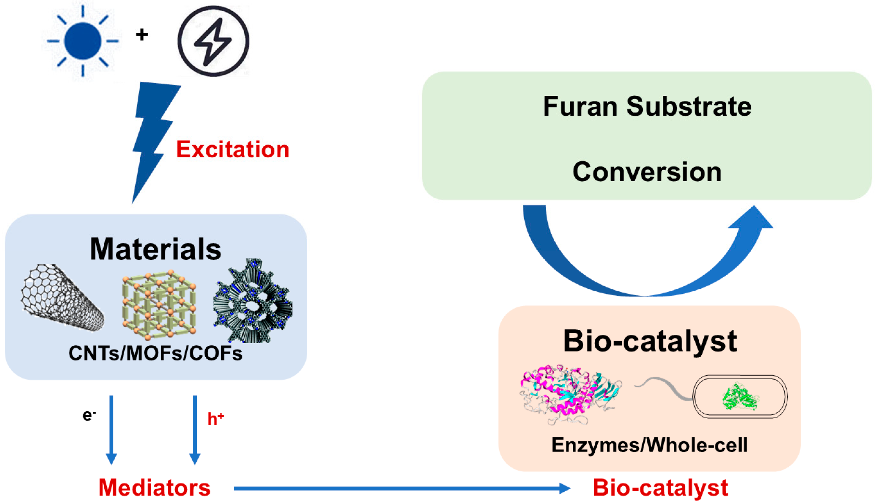 Photochem 05 00035 g003 Photochem 05 00035 g003