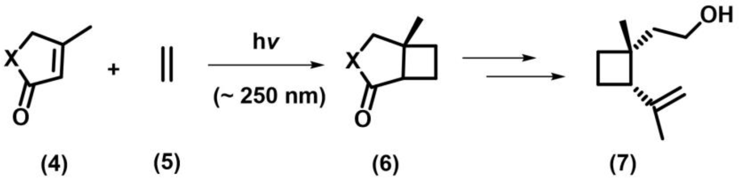 Photochem 05 00039 sch003