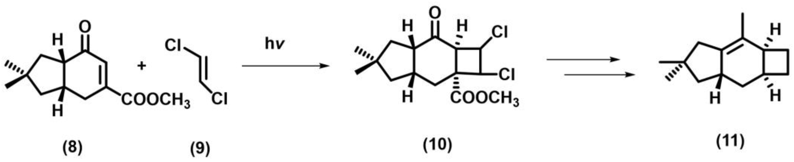 Photochem 05 00039 sch004