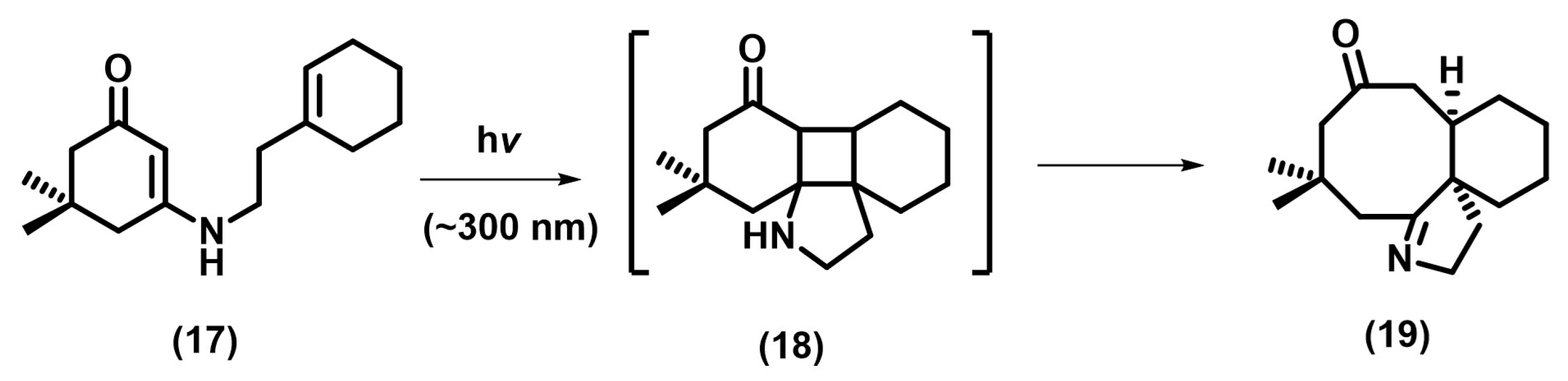 Photochem 05 00039 sch007