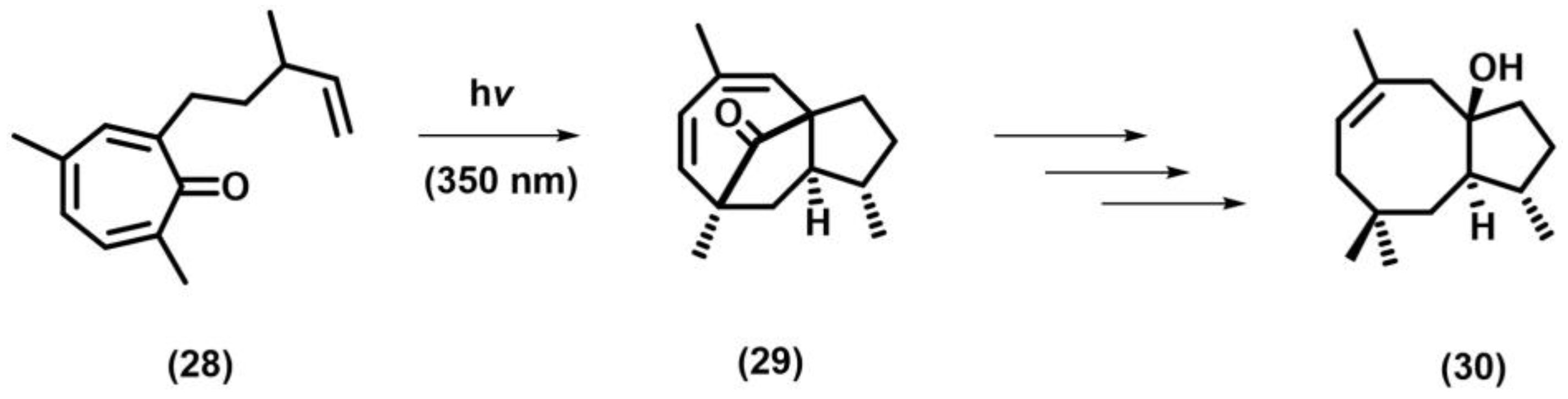 Photochem 05 00039 sch011