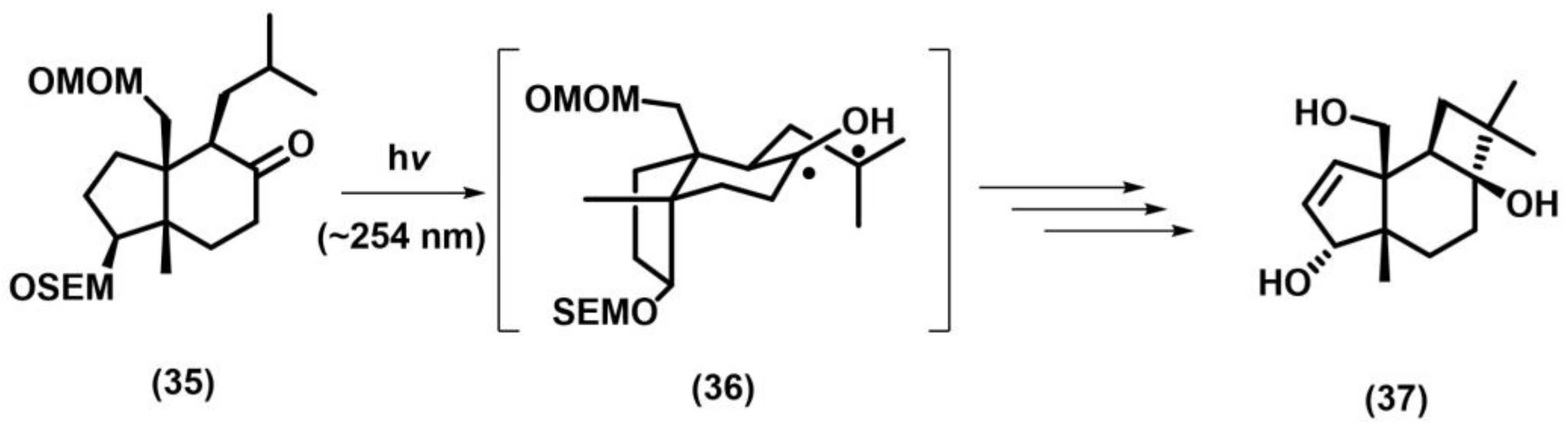 Photochem 05 00039 sch018