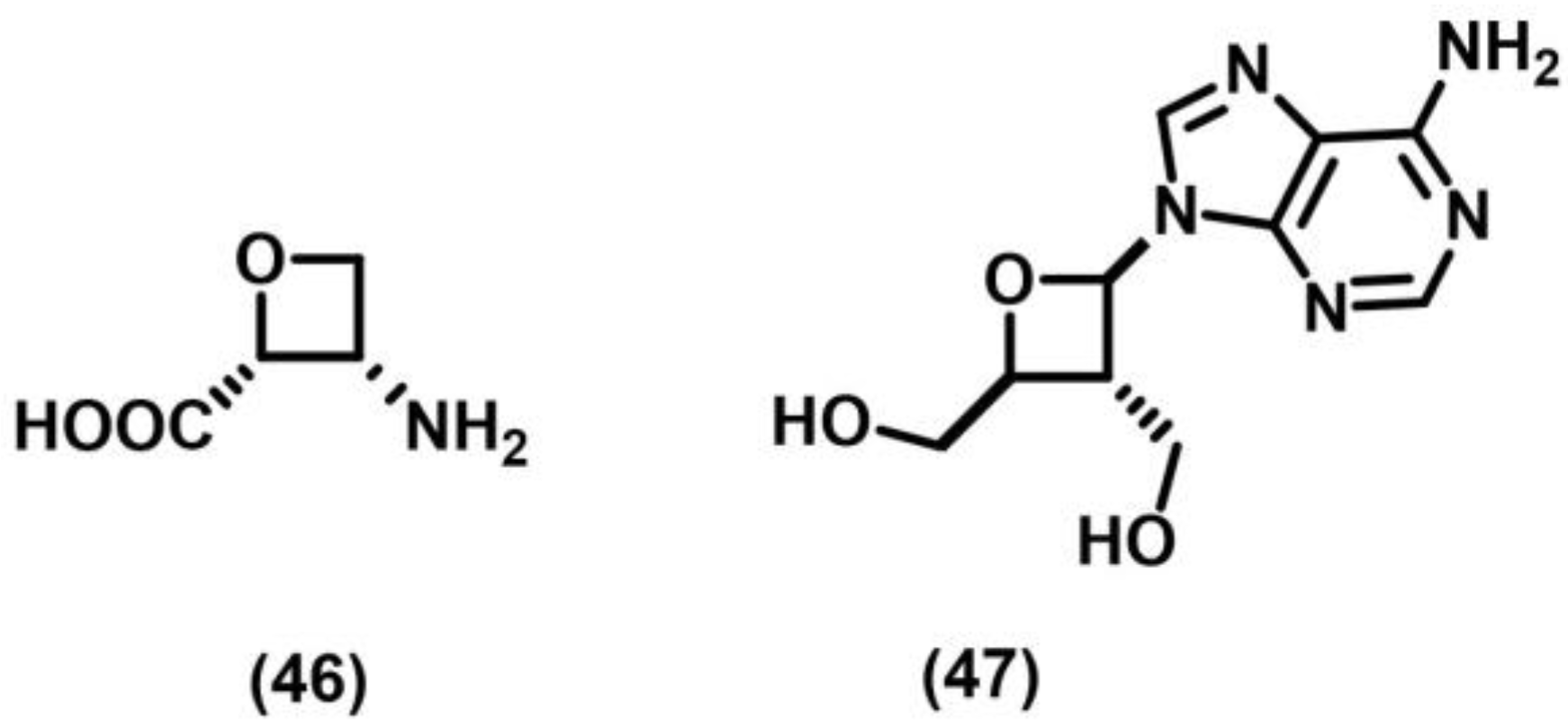 Photochem 05 00039 sch022