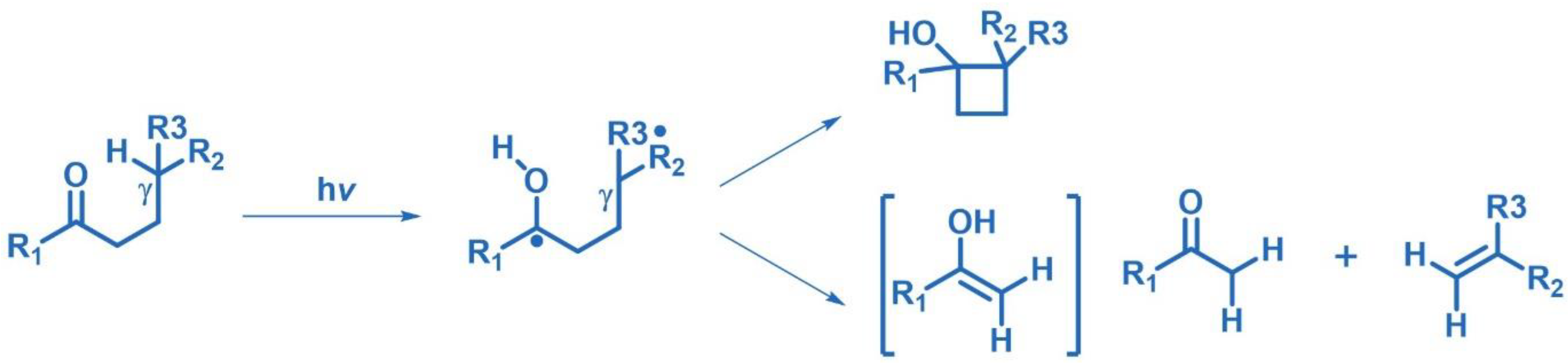 Photochem 05 00039 sch027