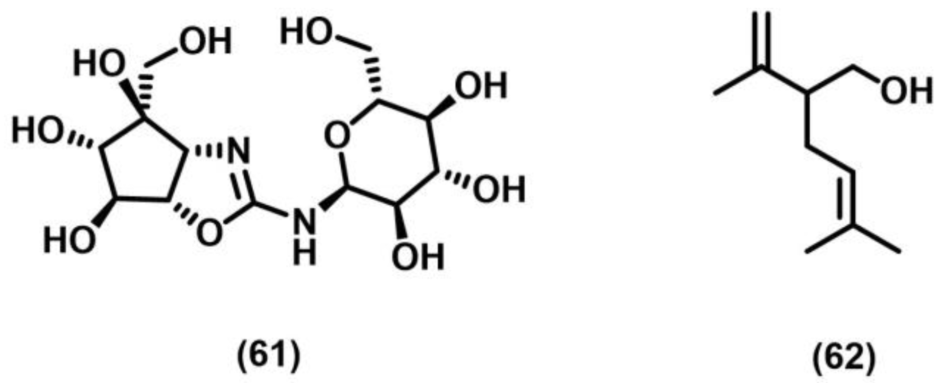 Photochem 05 00039 sch029