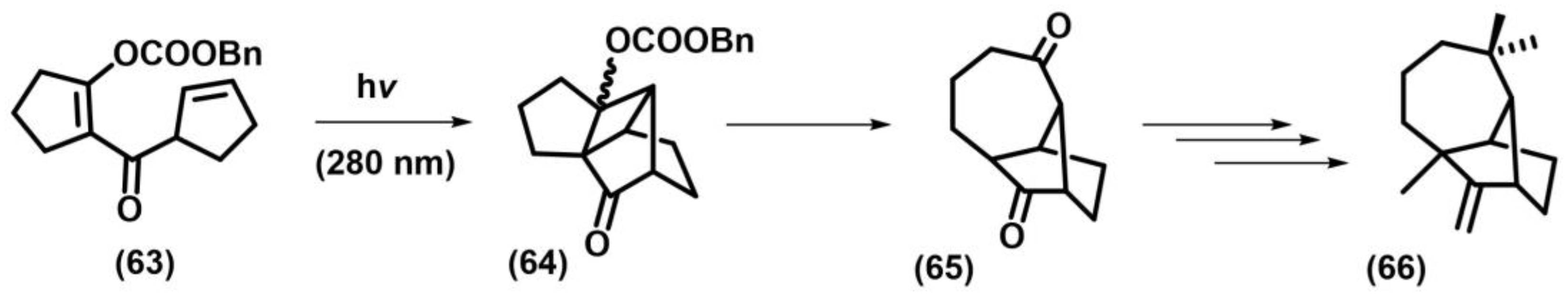 Photochem 05 00039 sch031