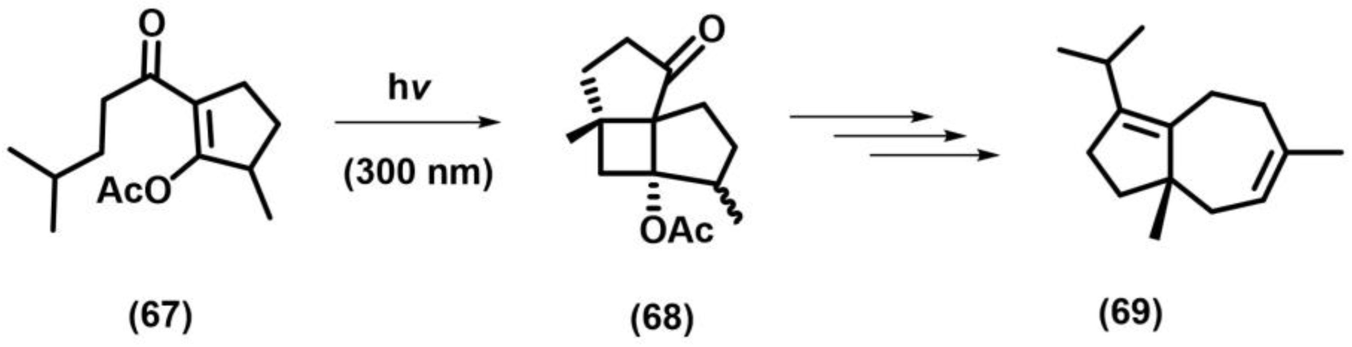 Photochem 05 00039 sch032