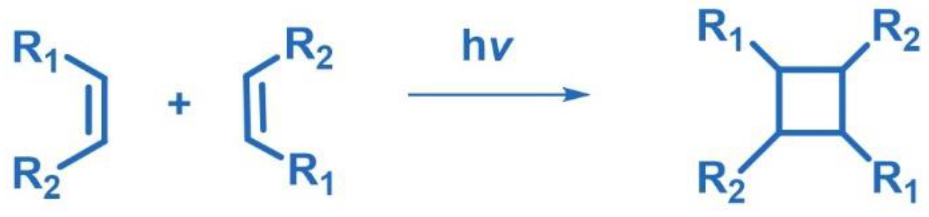 Photochem 05 00039 sch034