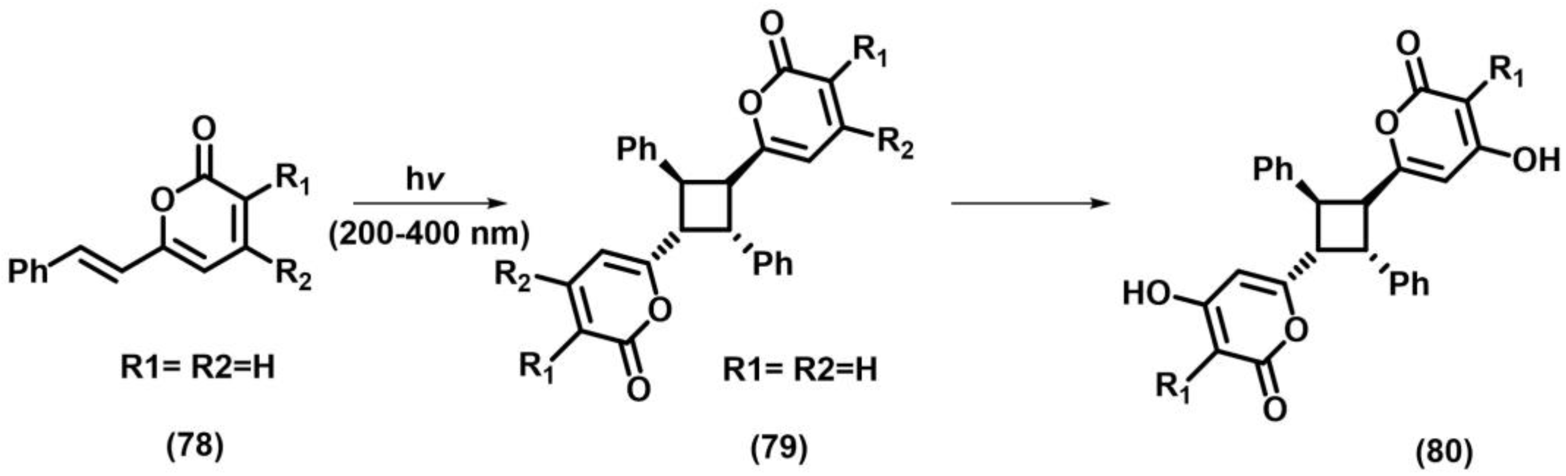 Photochem 05 00039 sch036