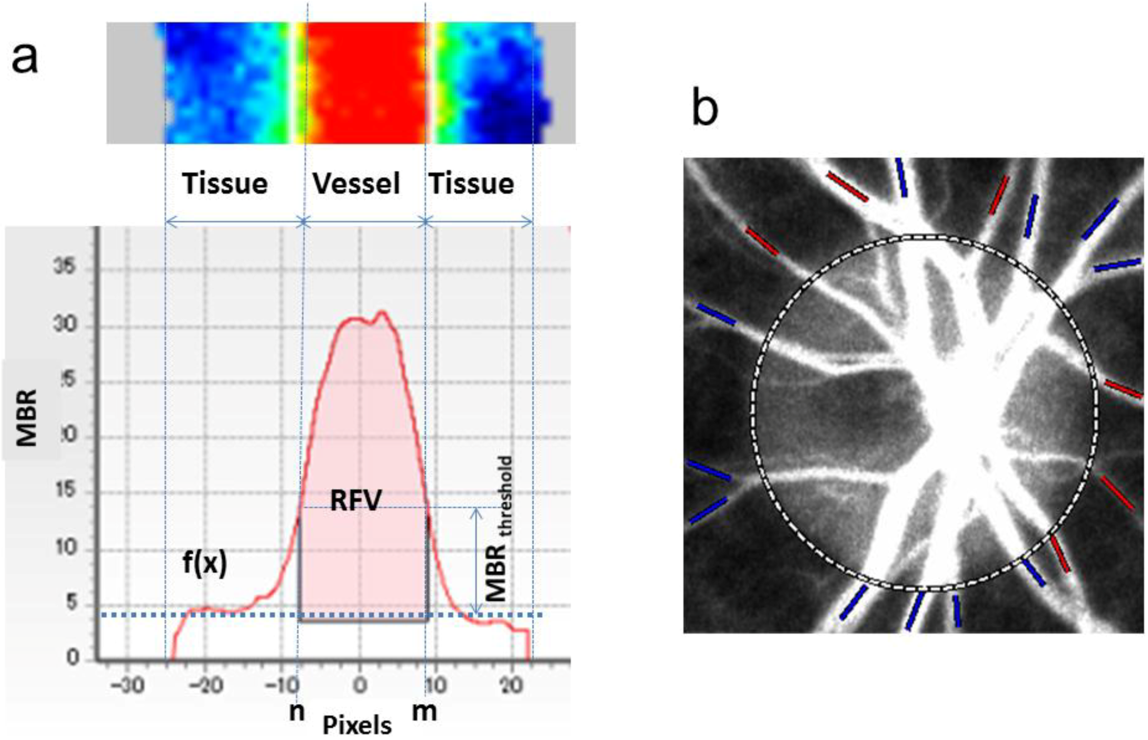 Photonics 01 00220 g007