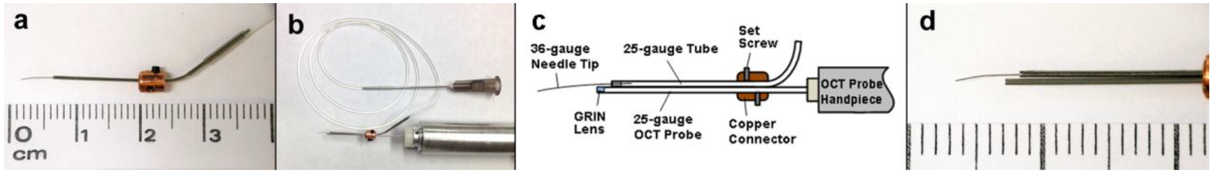 Photonics 01 00260 g001