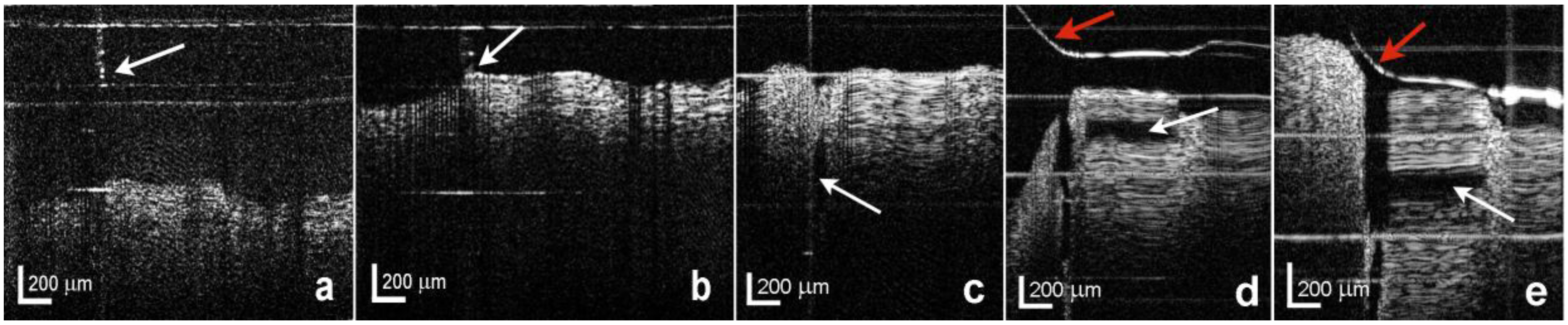 Photonics 01 00260 g002