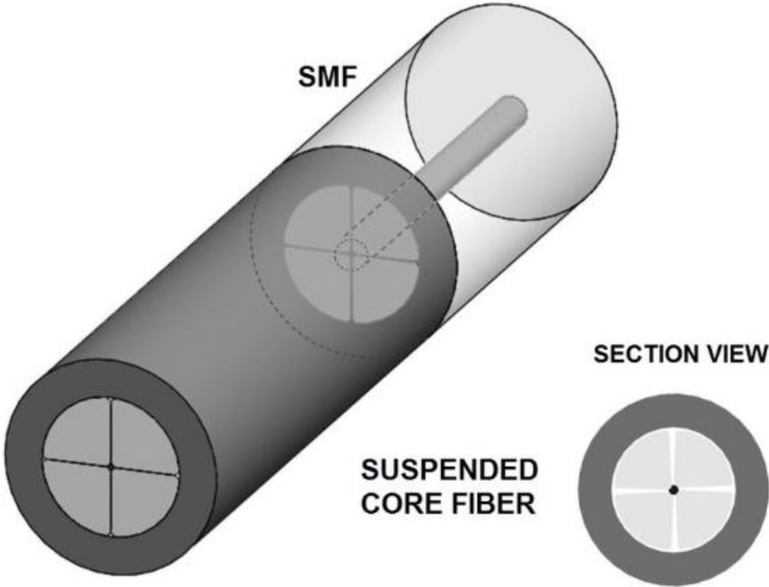 Photonics 01 00516 g005