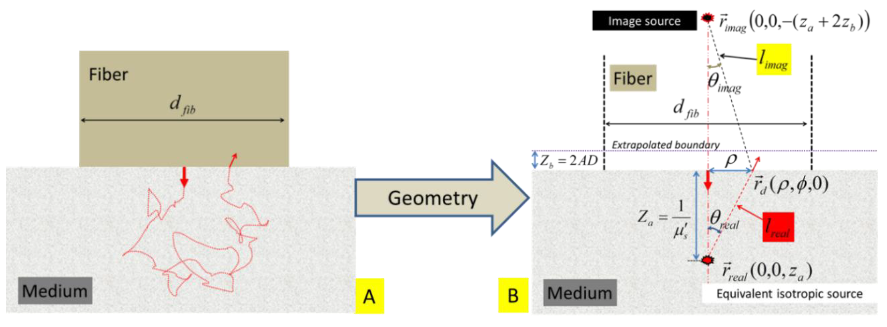 Photonics 01 00565 g003