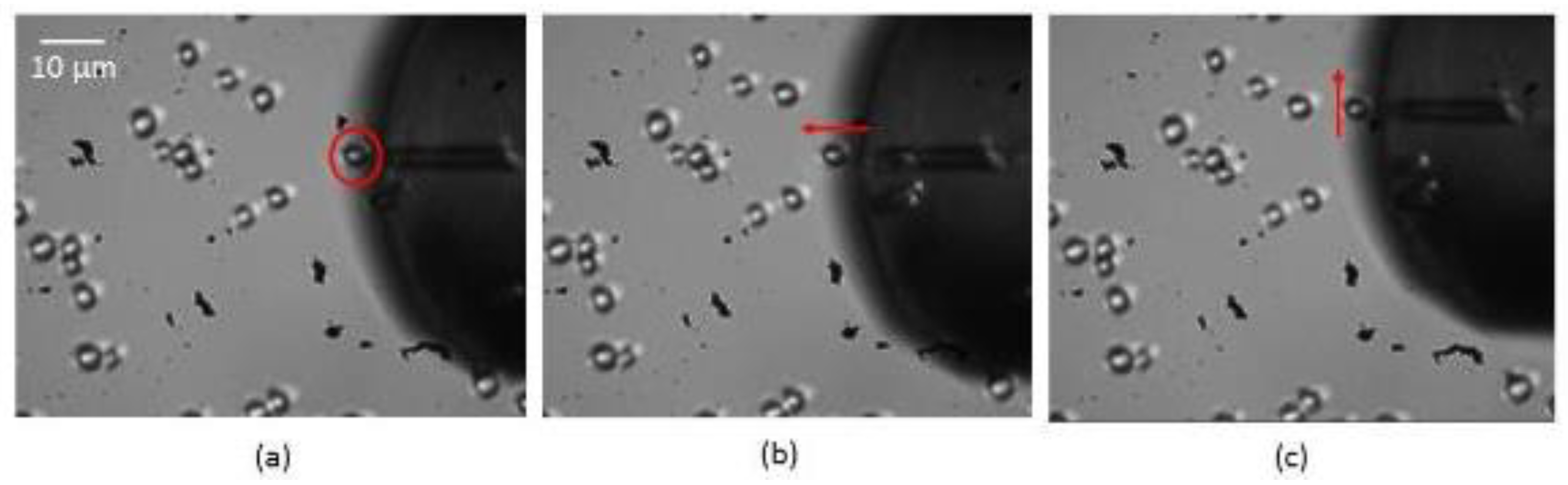 Photonics 02 00634 g006