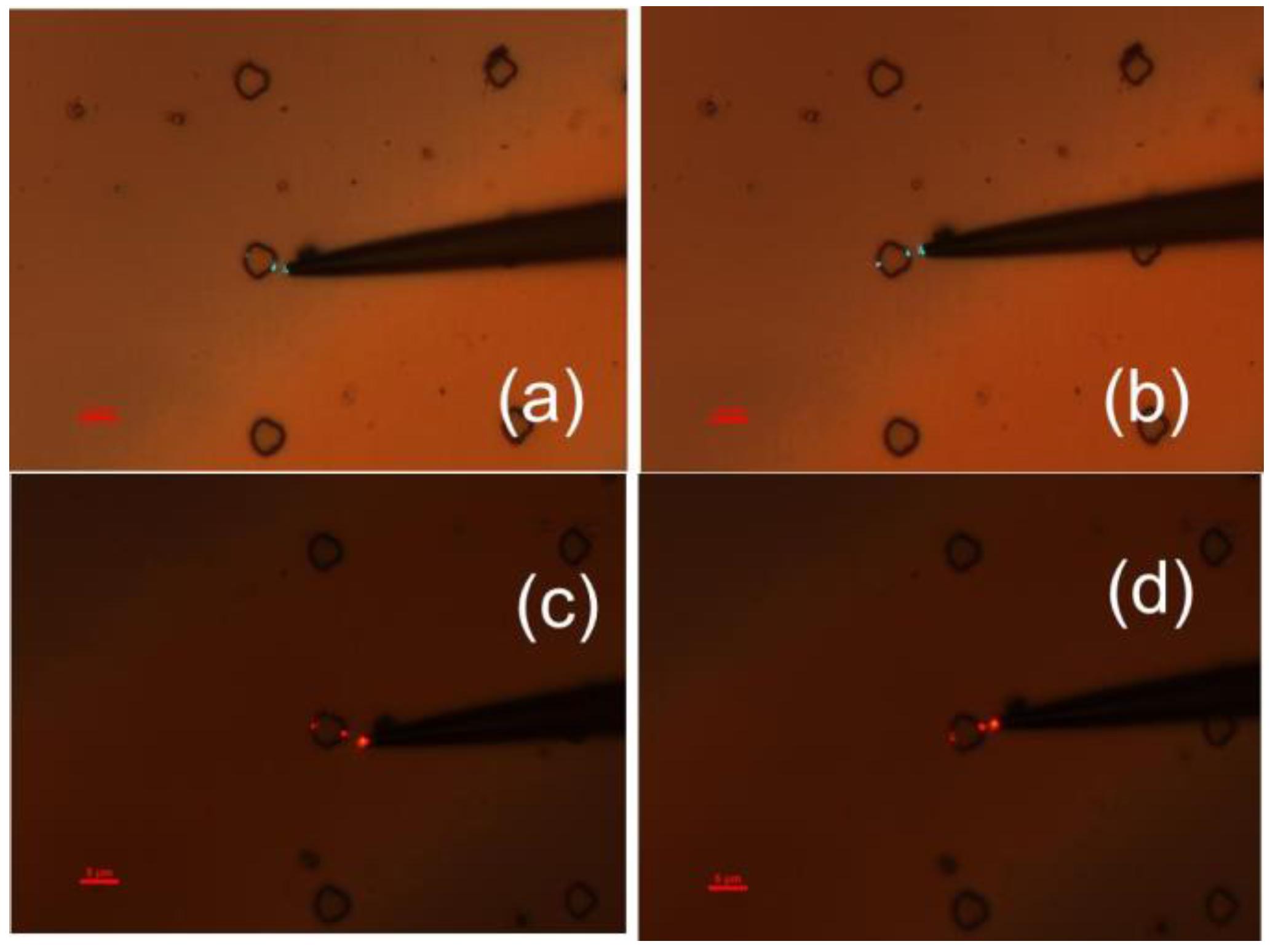 Photonics 03 00008 g004 1024