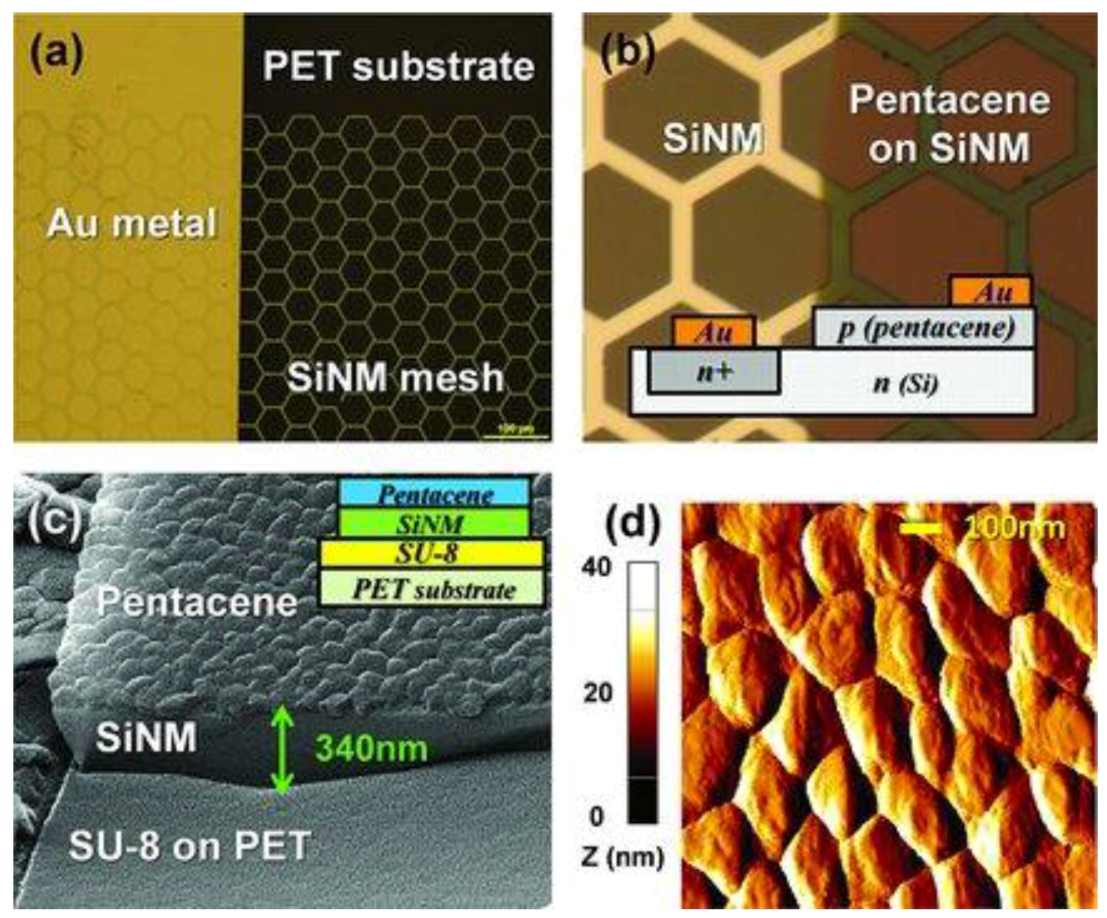 Photonics 03 00040 g018 1024