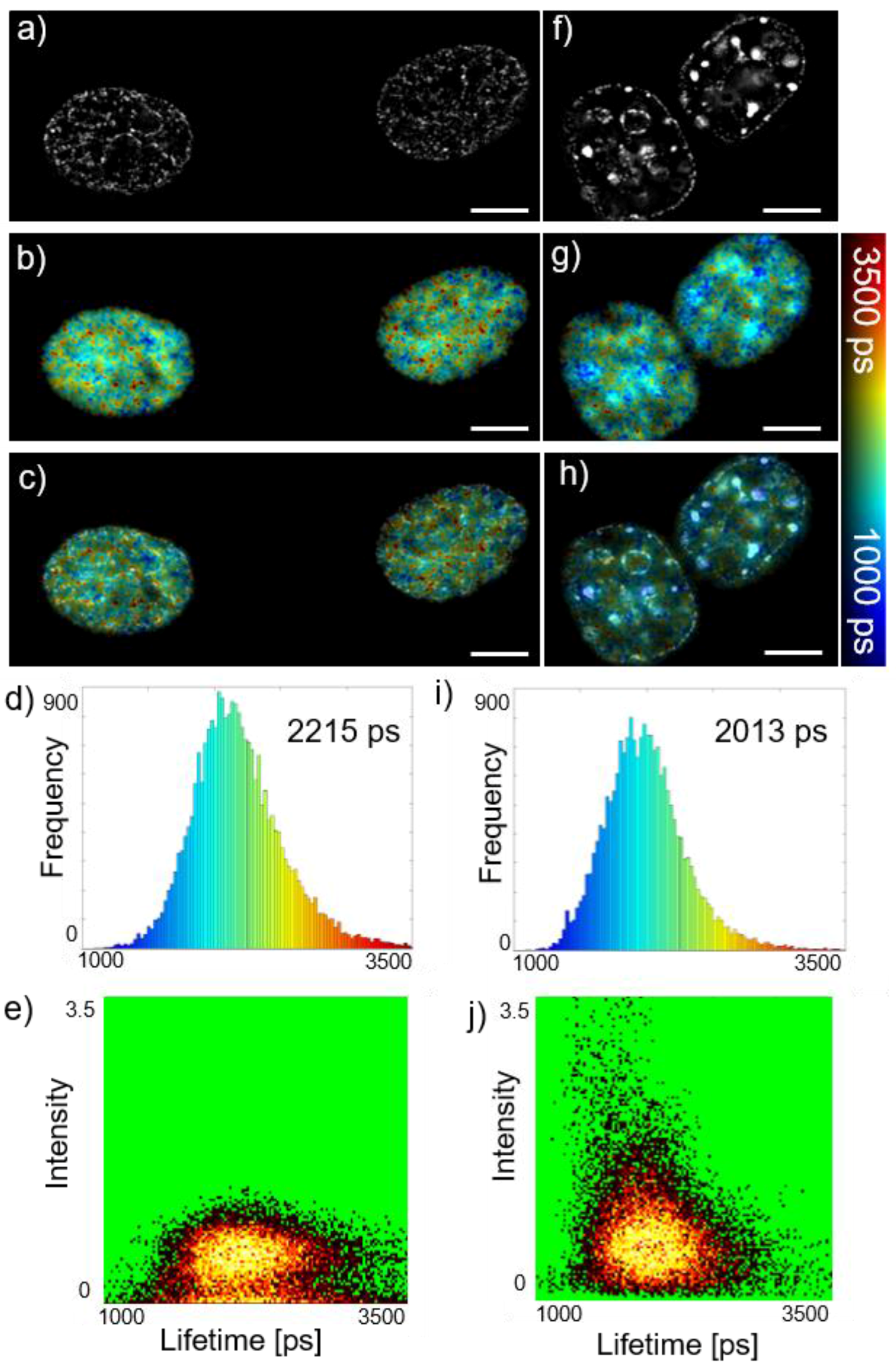 Photonics 04 00040 g003 550
