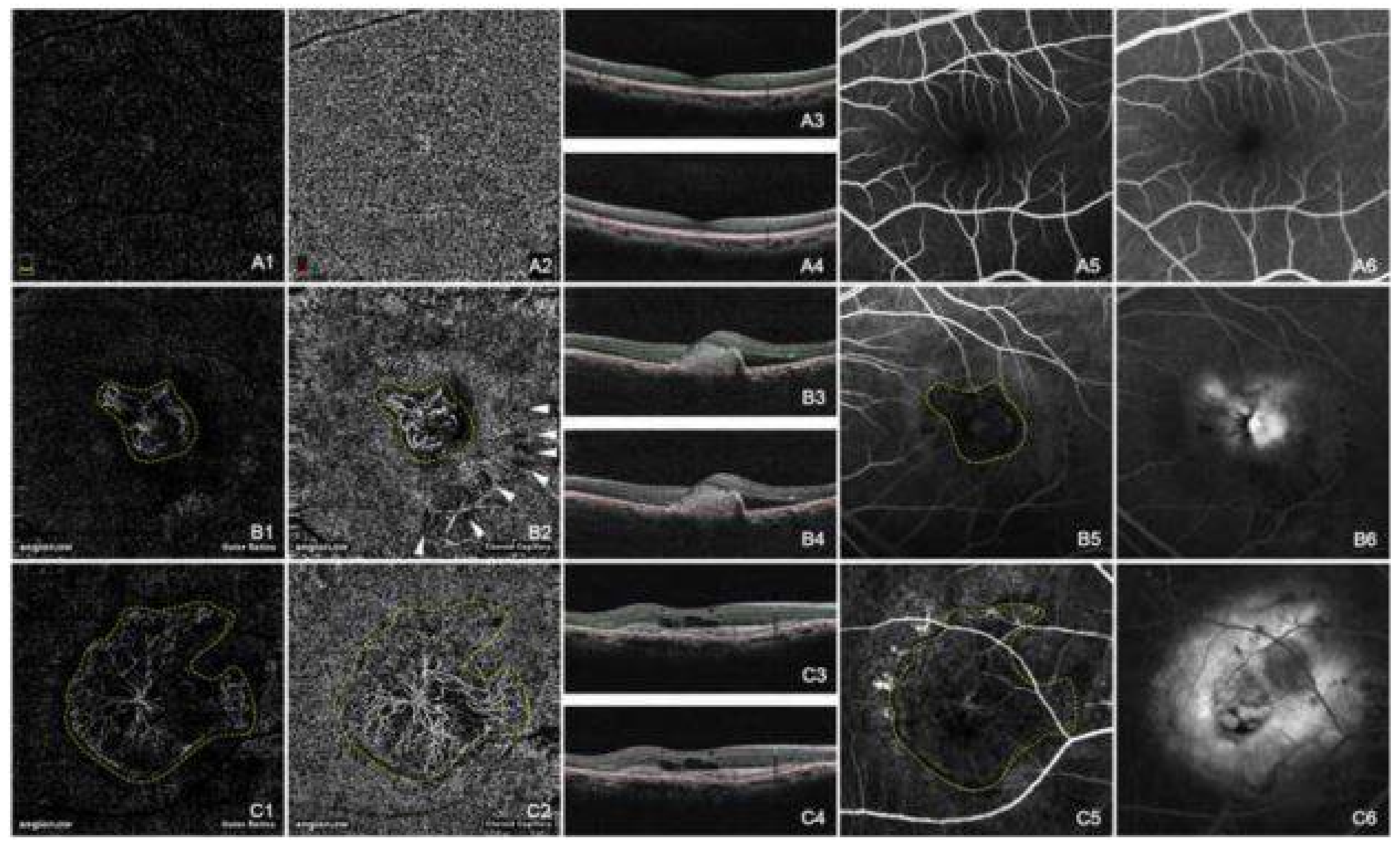 Photonics 05 00009 g001