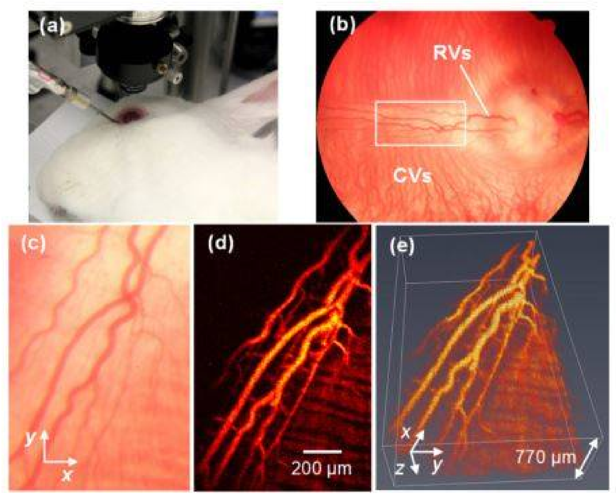 Photonics 05 00009 g002