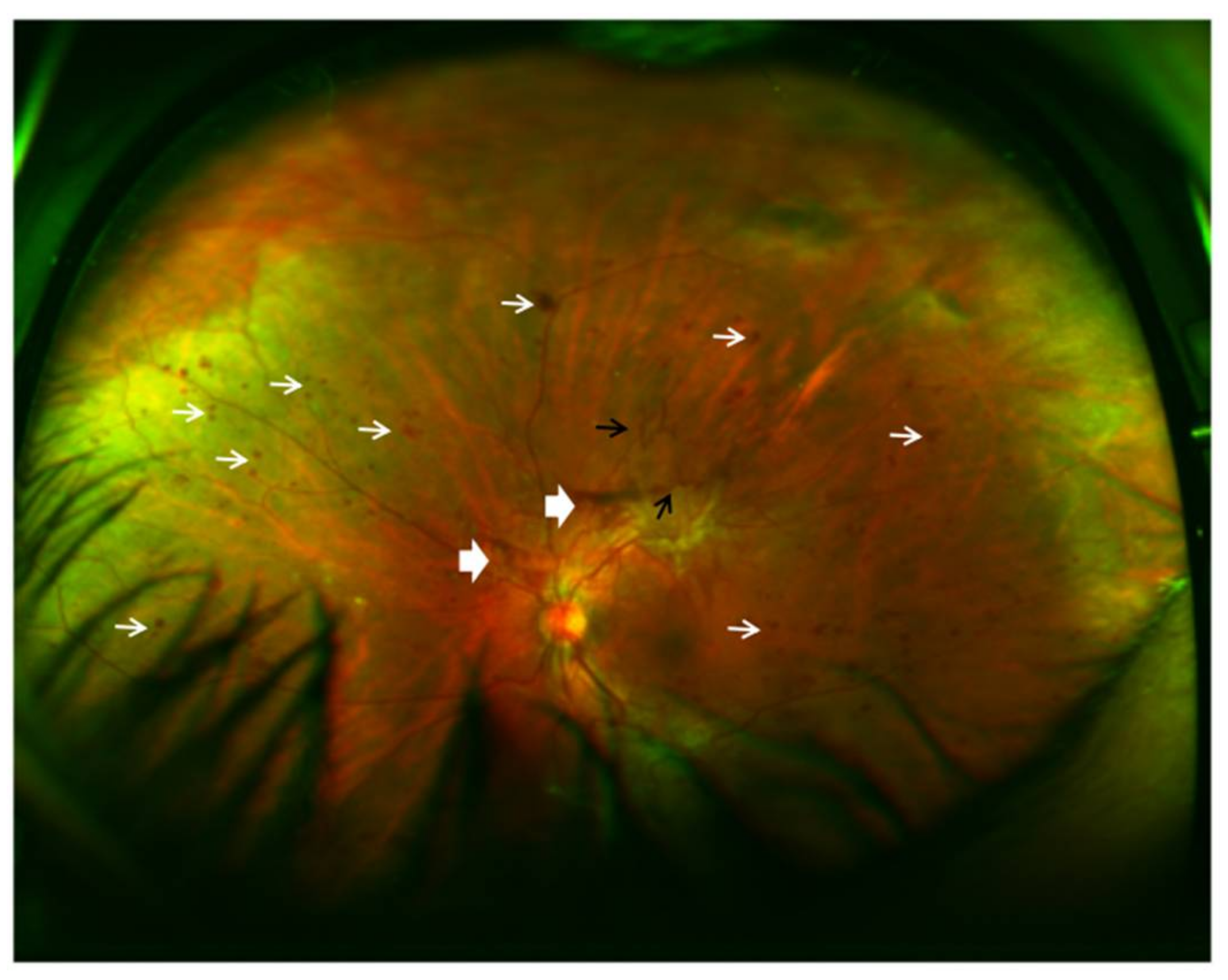 Photonics 05 00009 g004