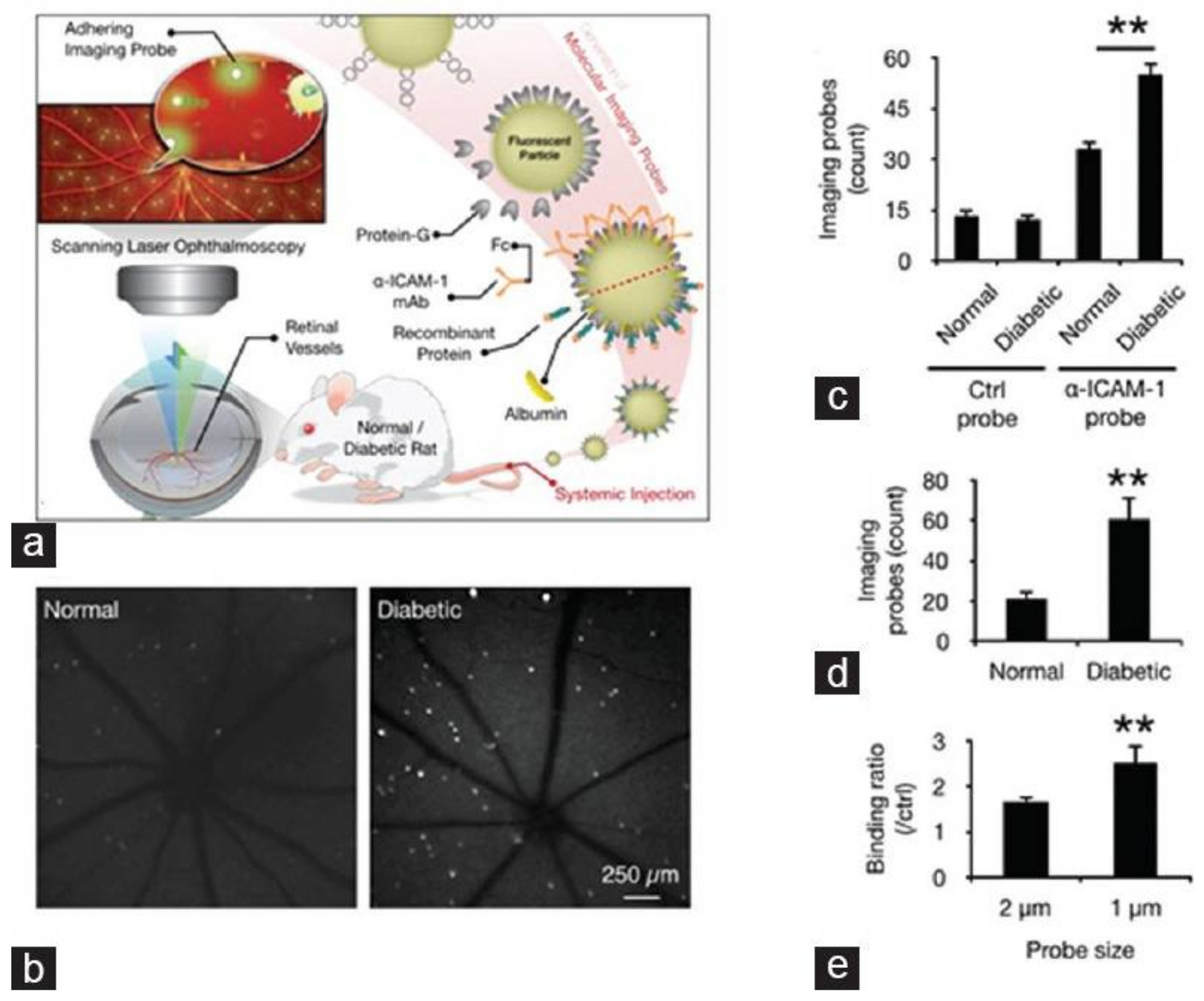 Photonics 05 00009 g005