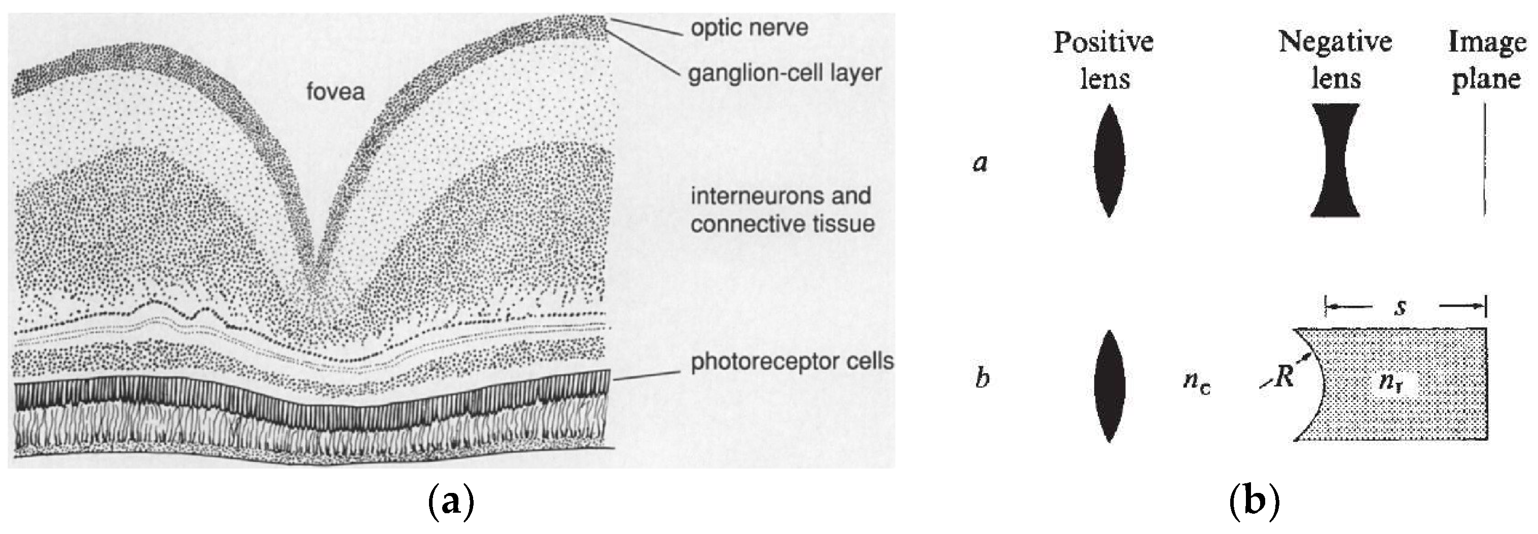 Photonics 05 00018 g001