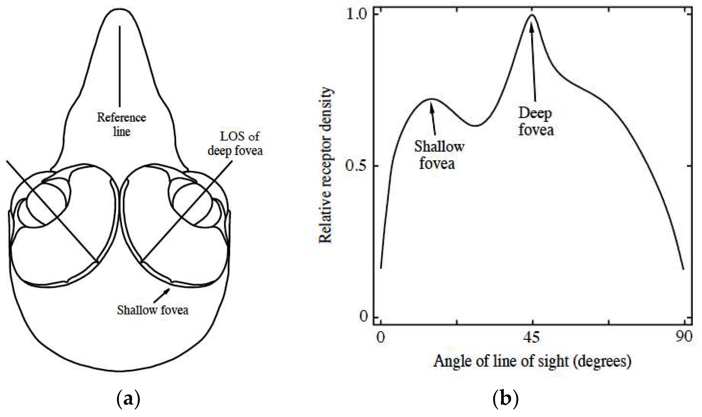 Photonics 05 00018 g002