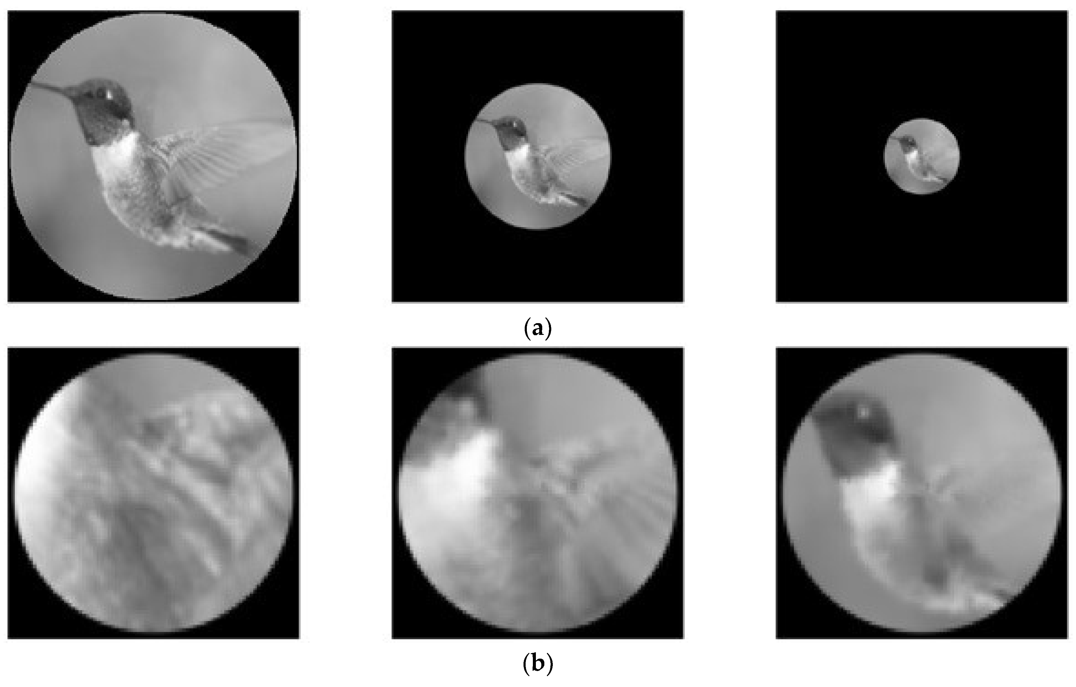 Photonics 05 00018 g011