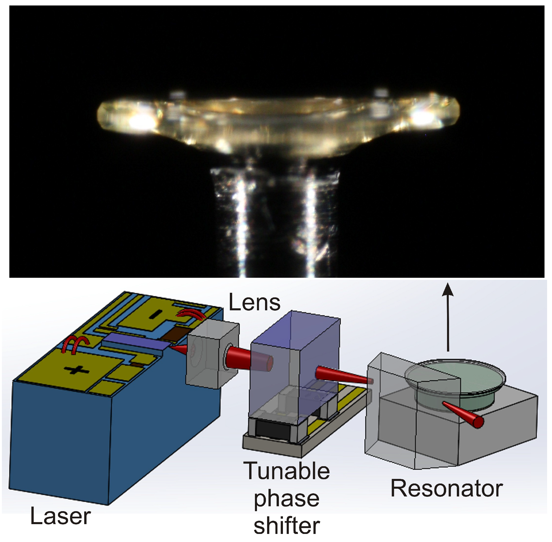 Photonics 05 00043 g005