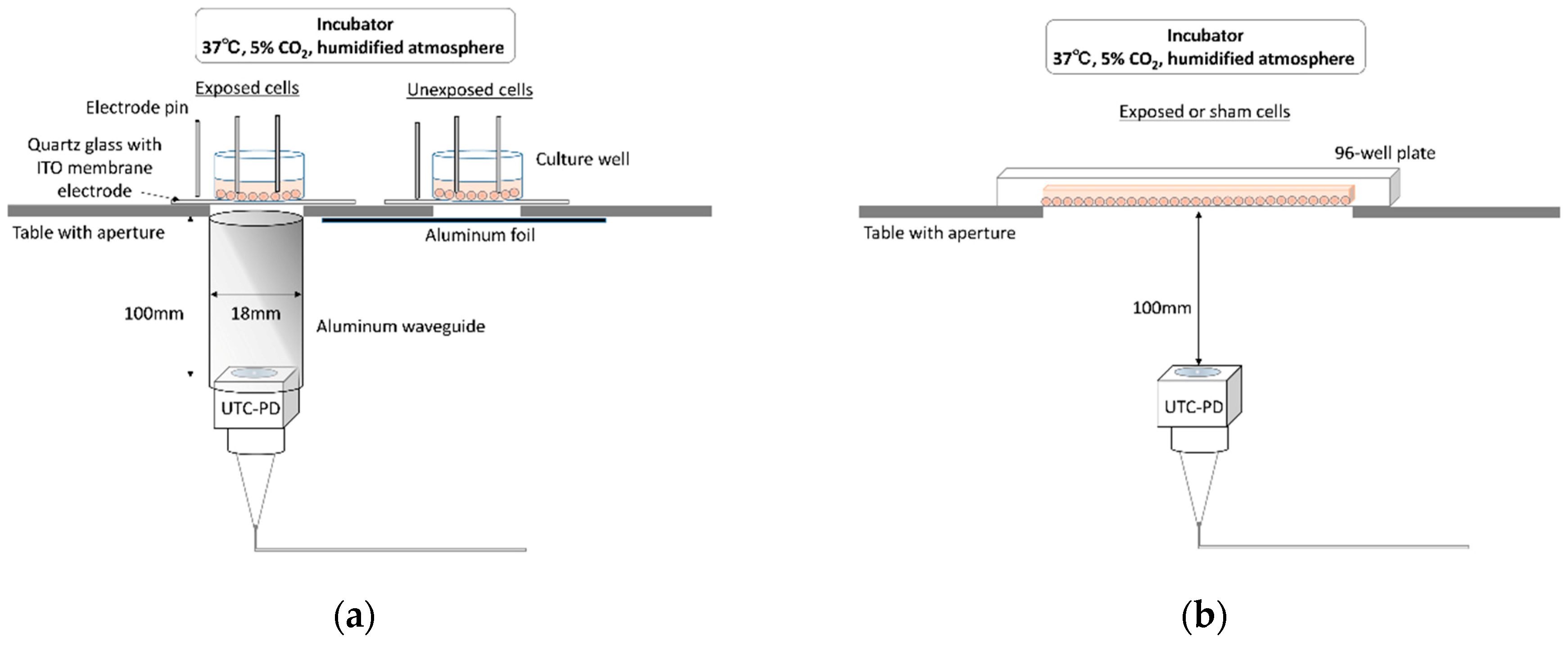Photonics 06 00033 g001 Photonics 06 00033 g001