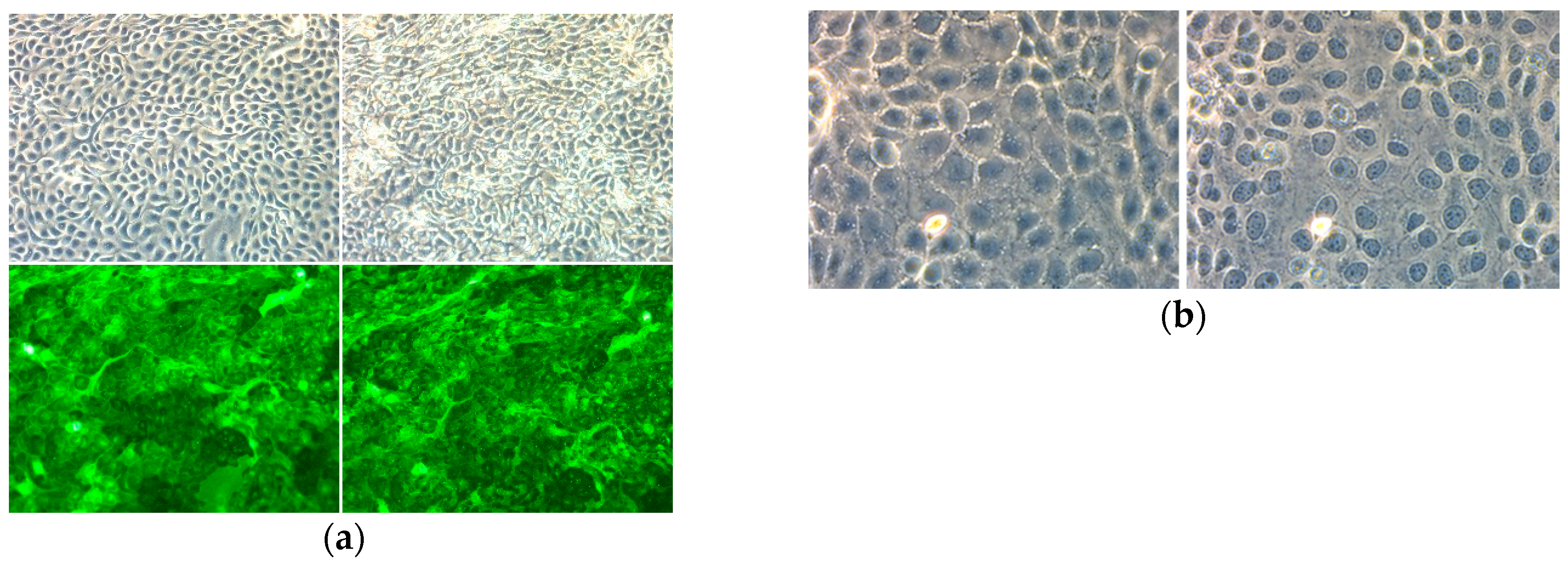 Photonics 06 00033 g008 Photonics 06 00033 g008