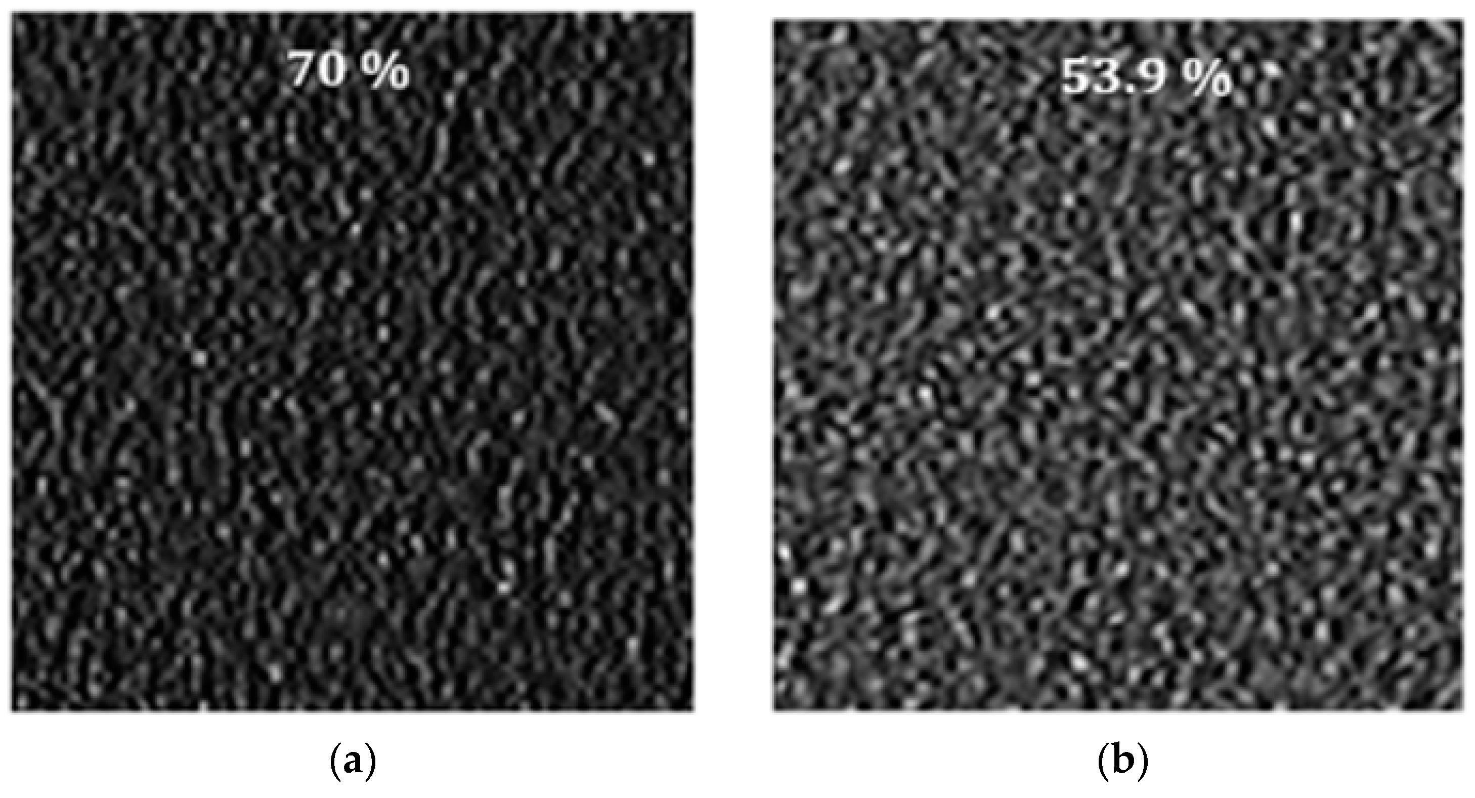 Photonics 06 00053 g009