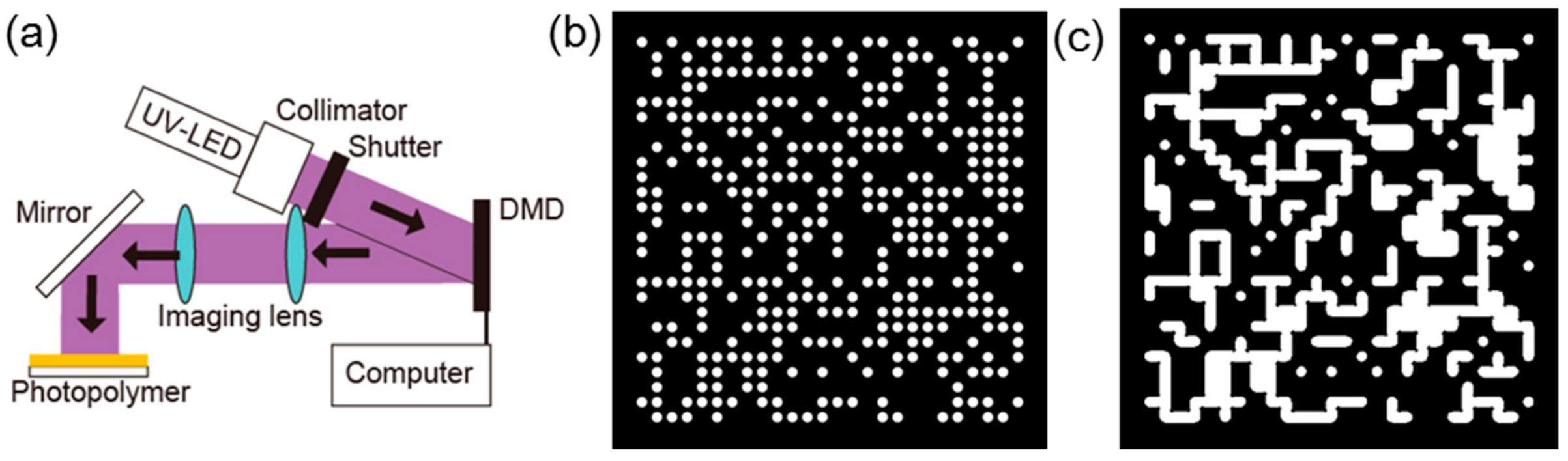 Photonics 06 00062 g005 Photonics 06 00062 g005