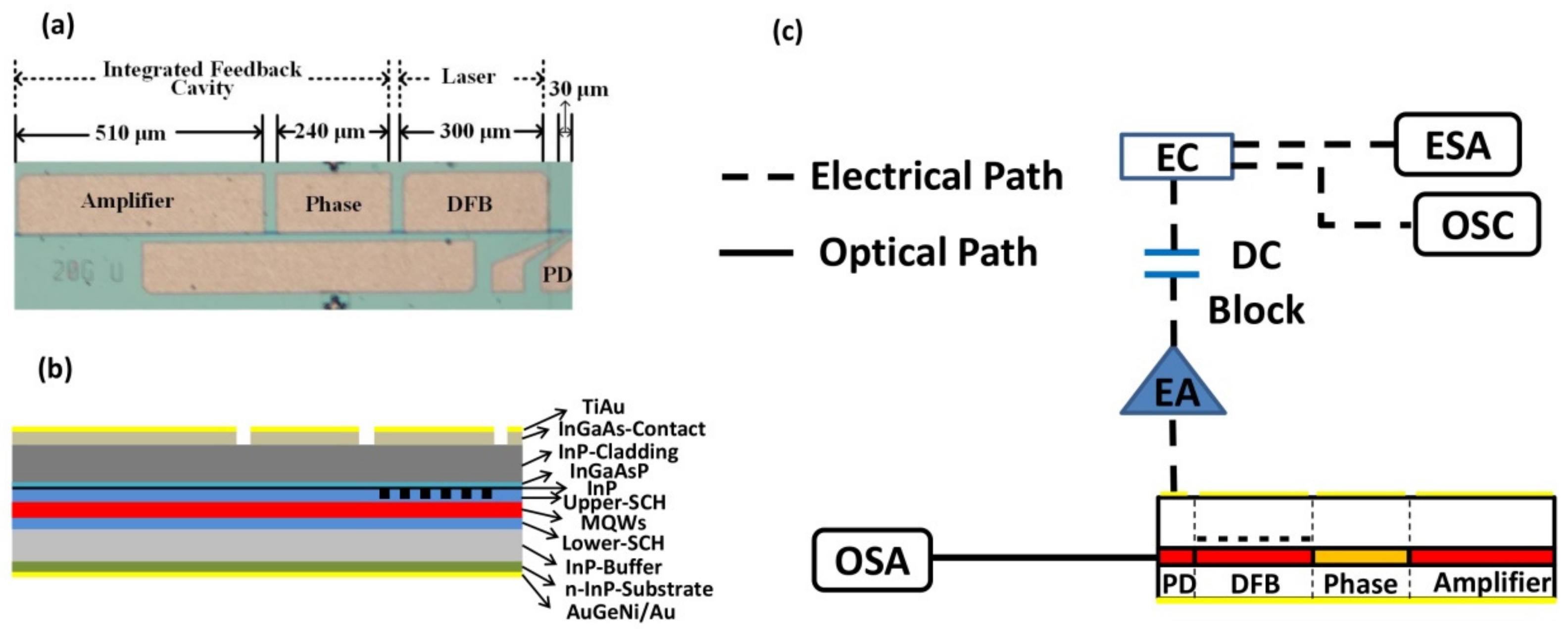 Photonics 06 00102 g001