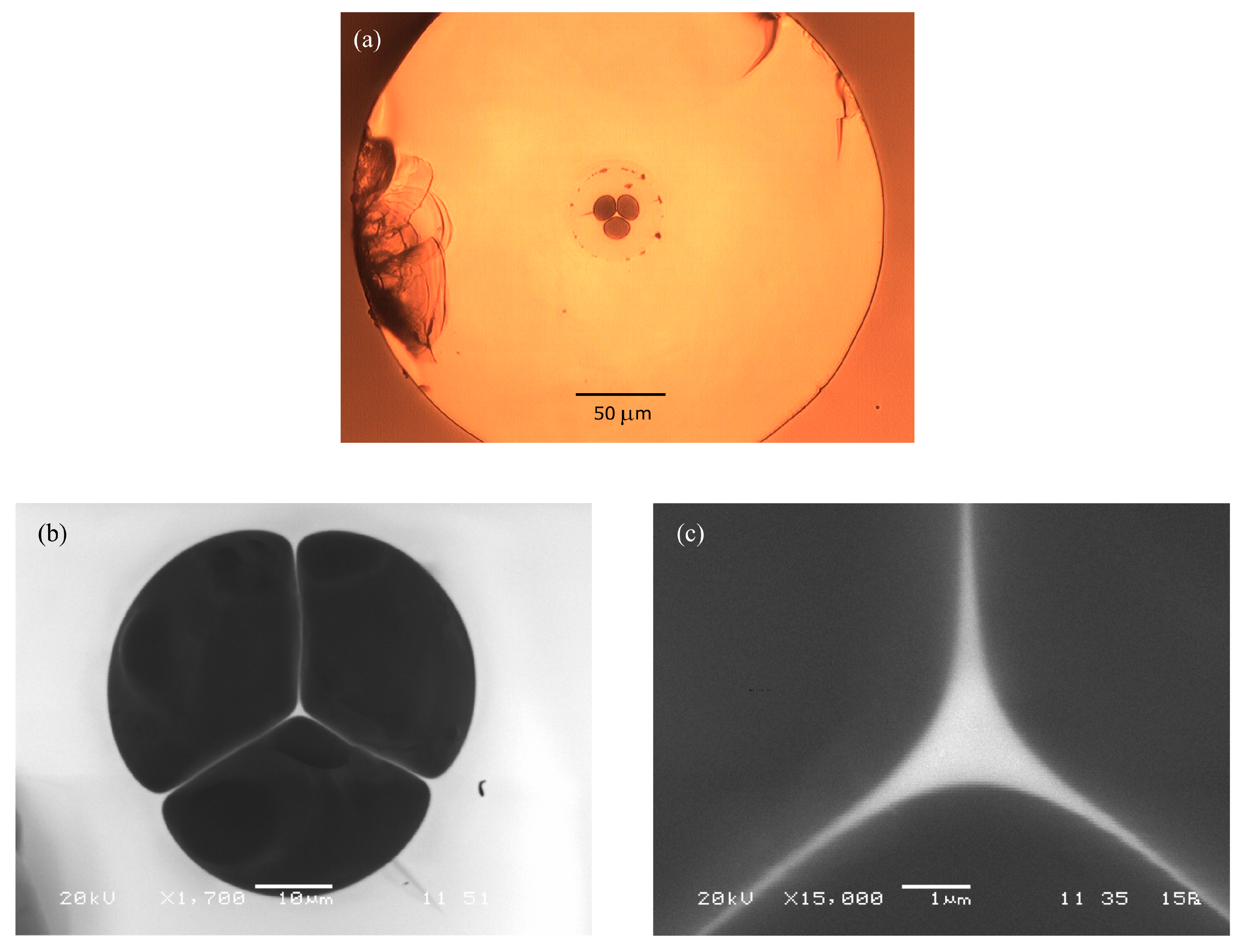 Photonics 07 00051 g004 Photonics 07 00051 g004