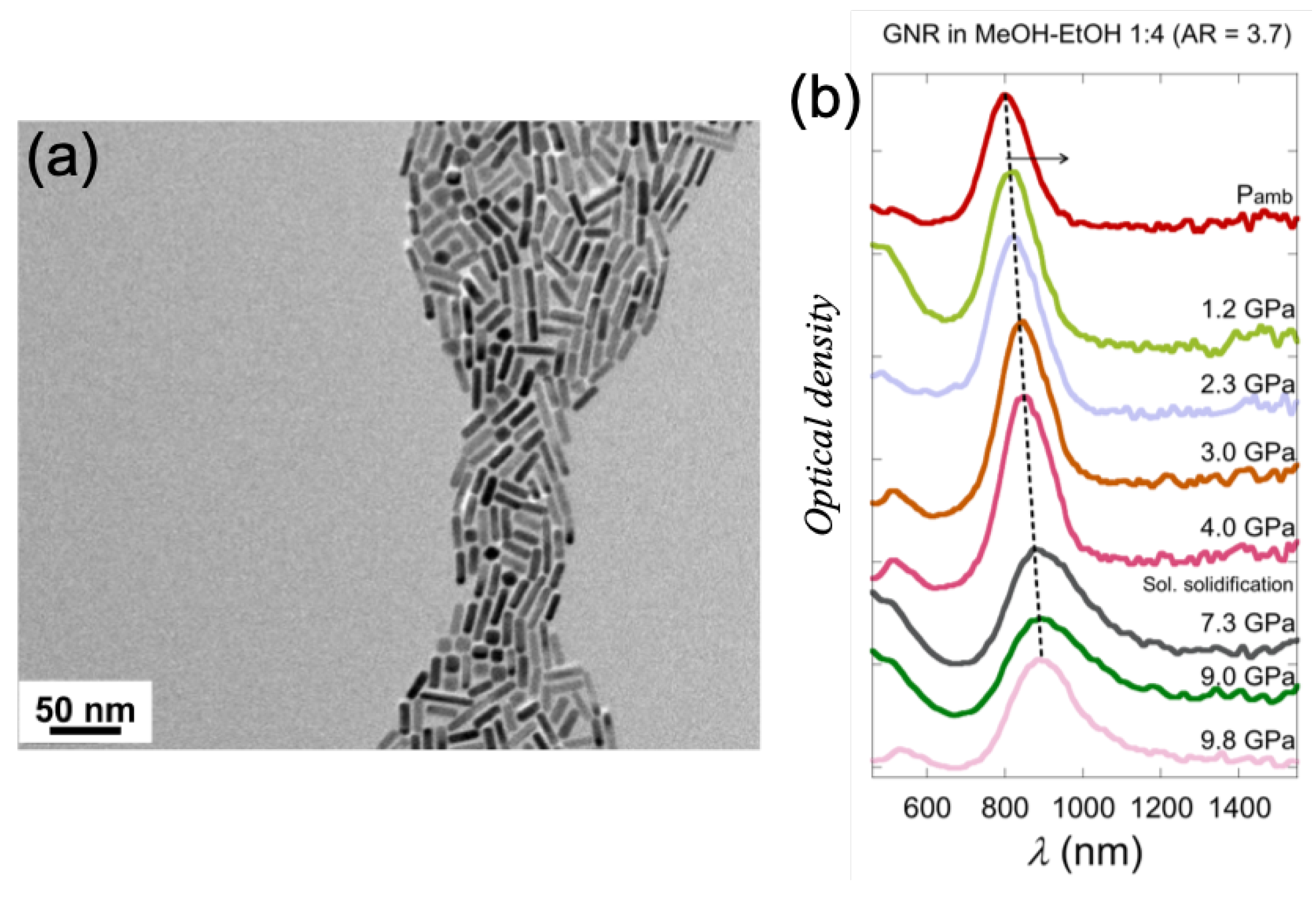 Photonics 07 00053 g003 Photonics 07 00053 g003