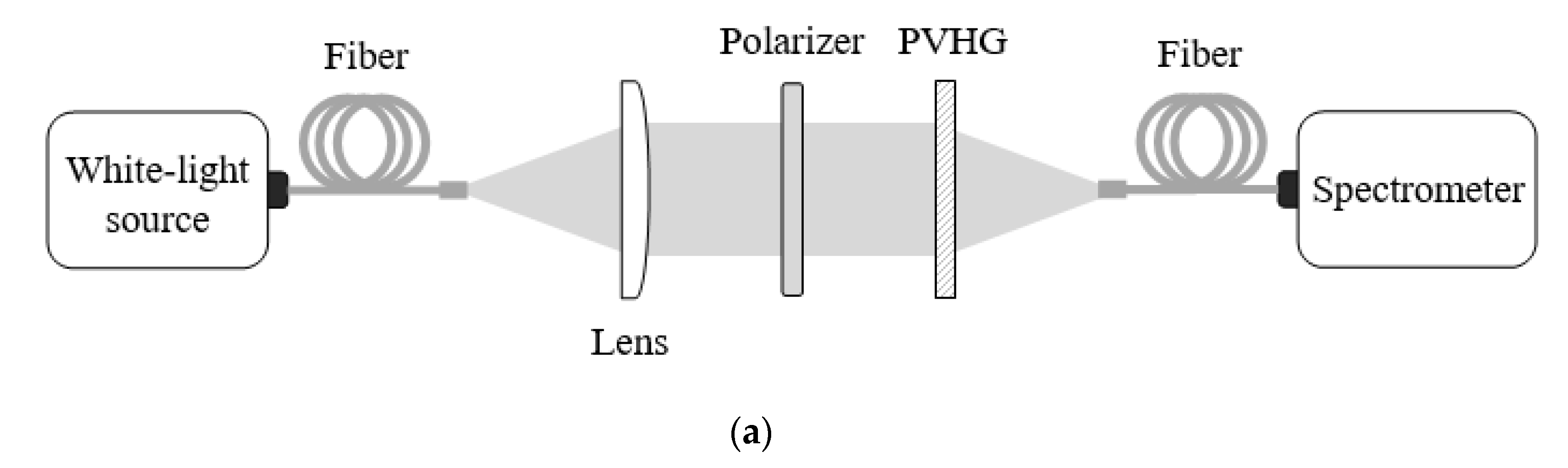 Photonics 07 00085 g006a
