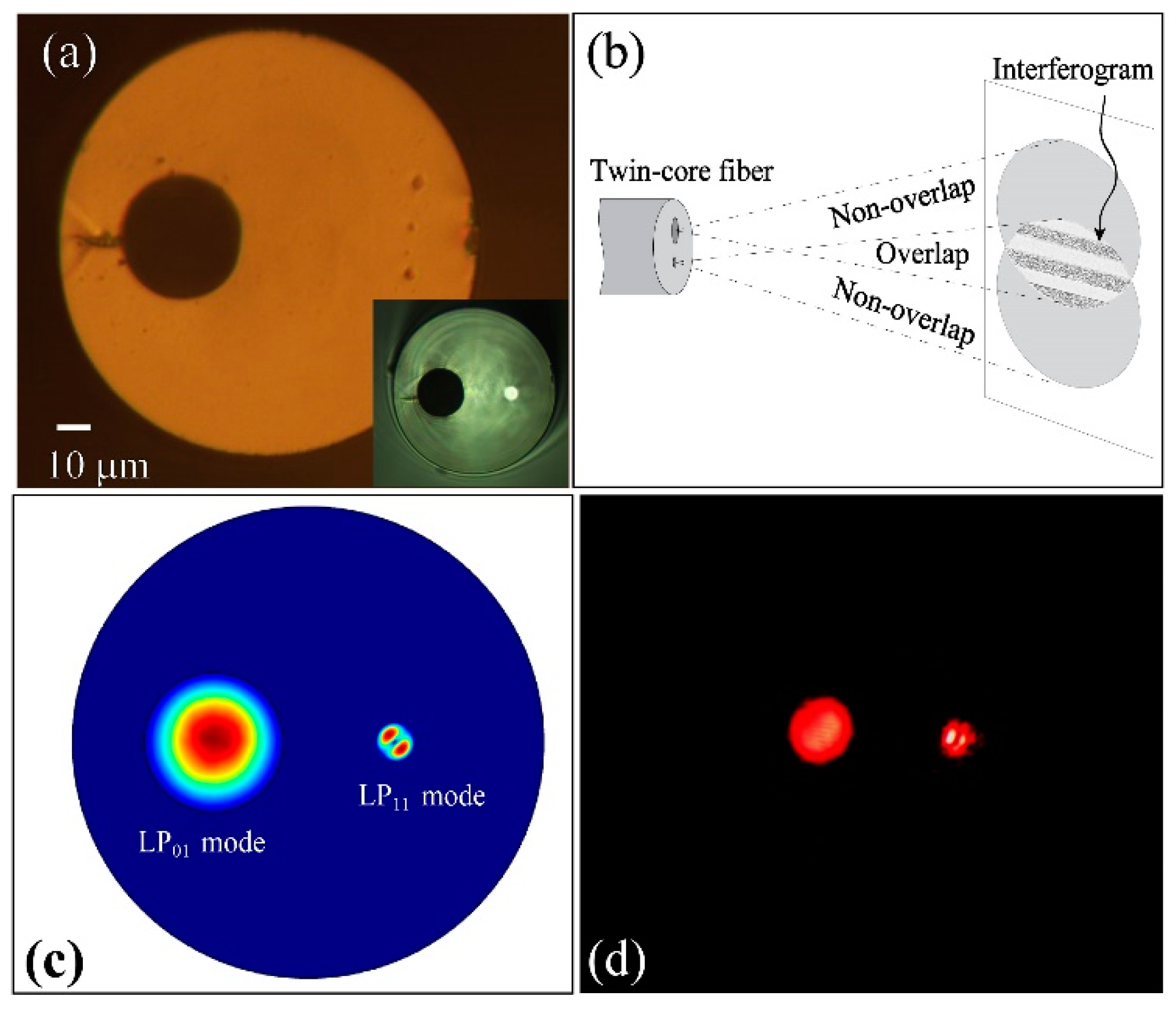 Photonics 07 00111 g001