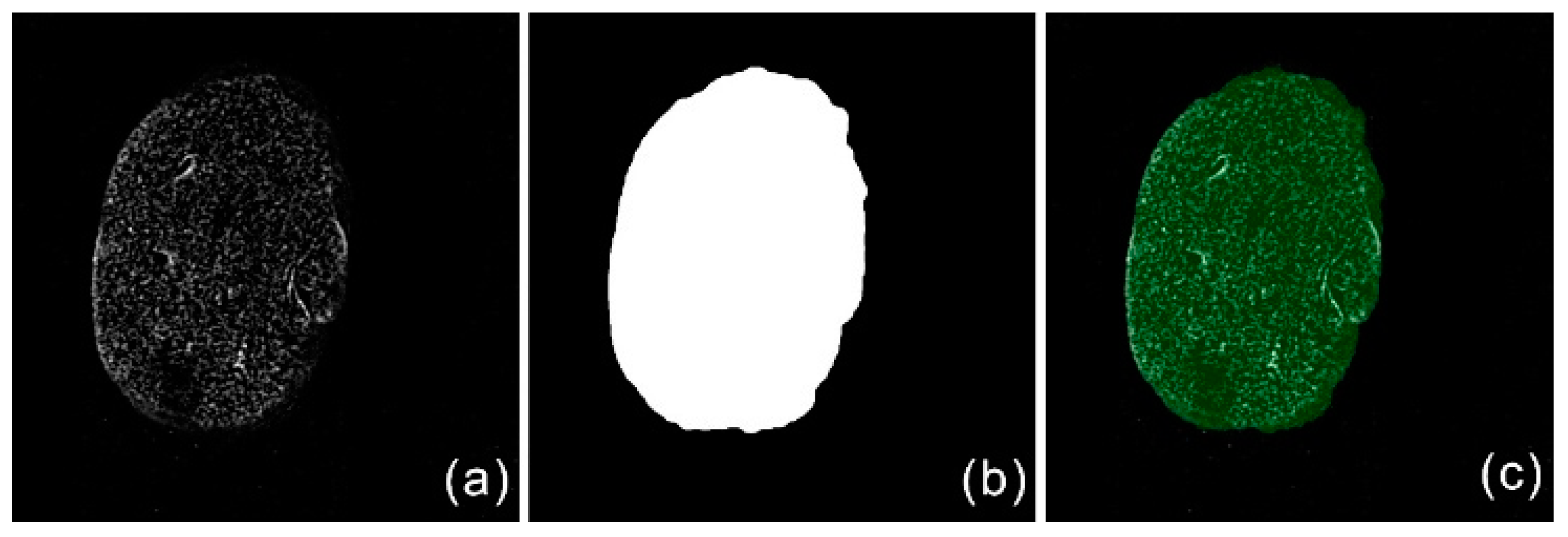Photonics 07 00119 g002 Photonics 07 00119 g002