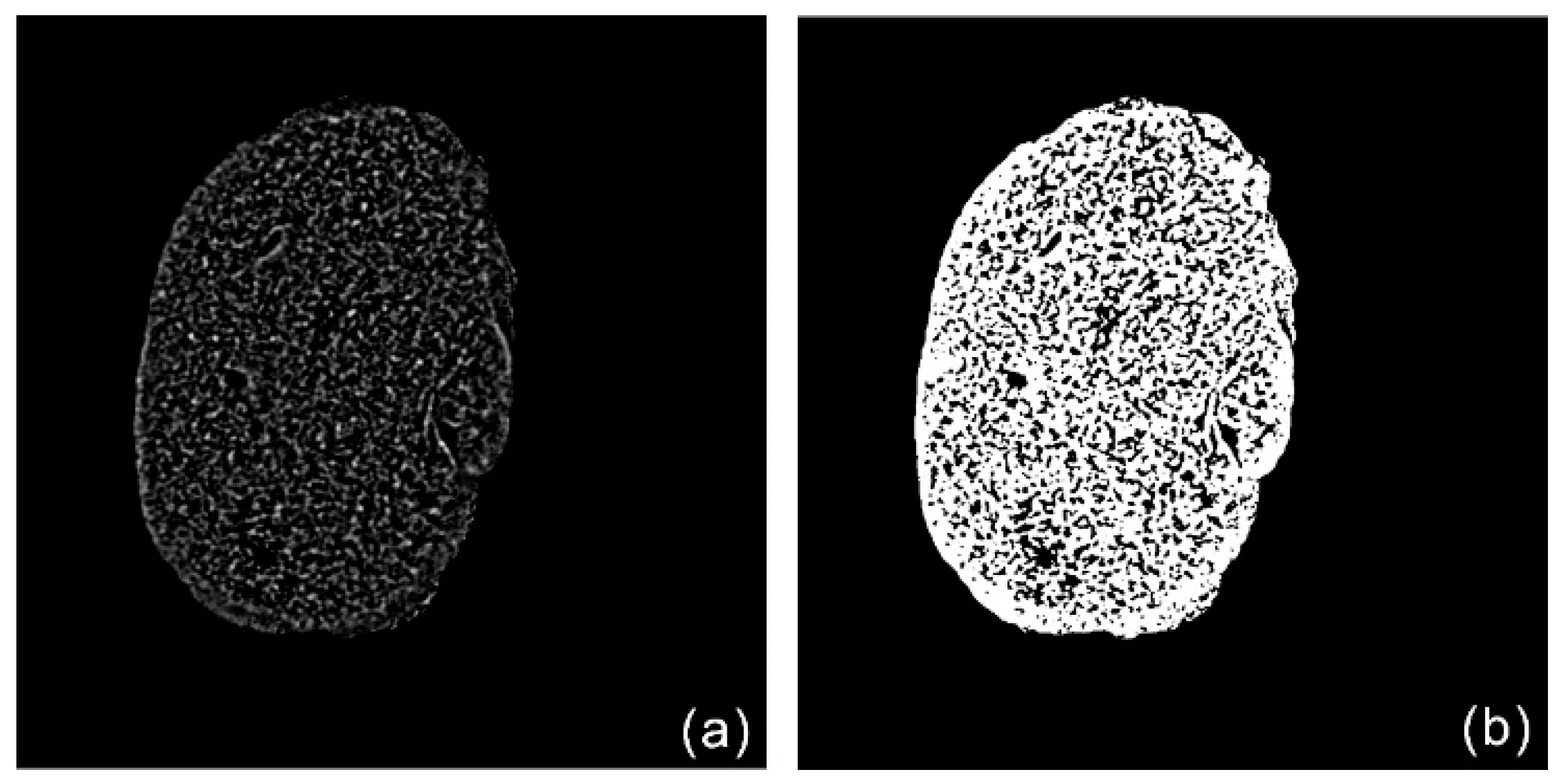 Photonics 07 00119 g004 Photonics 07 00119 g004