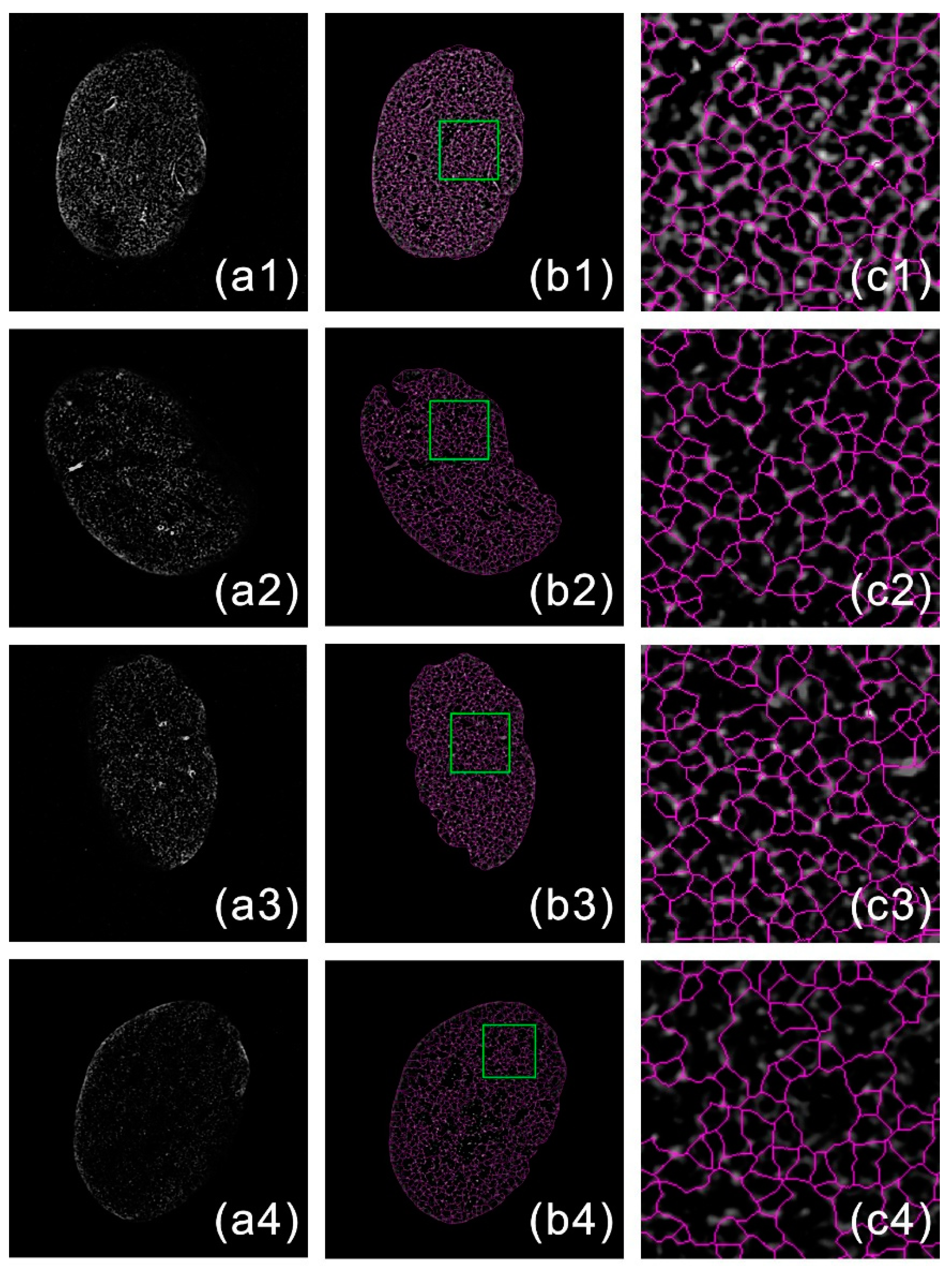 Photonics 07 00119 g008a Photonics 07 00119 g008a